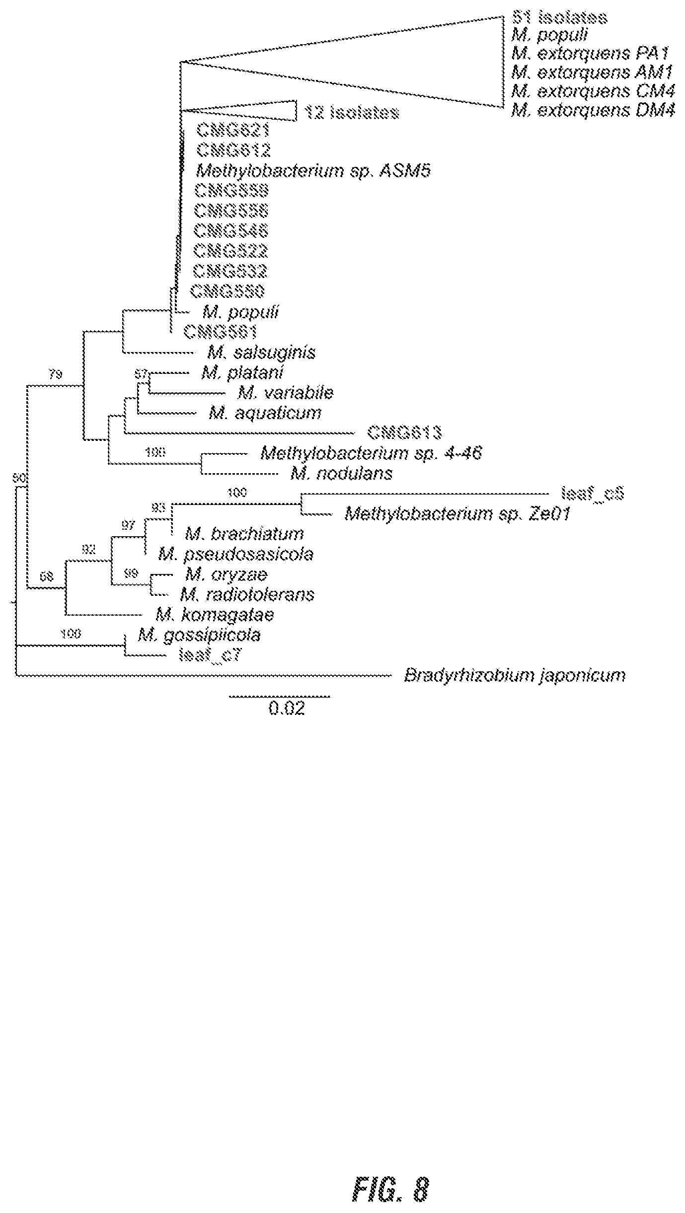 Patent US11812750 Figure 7 – Rare earth dependent plant probiotic compositions and methods of use