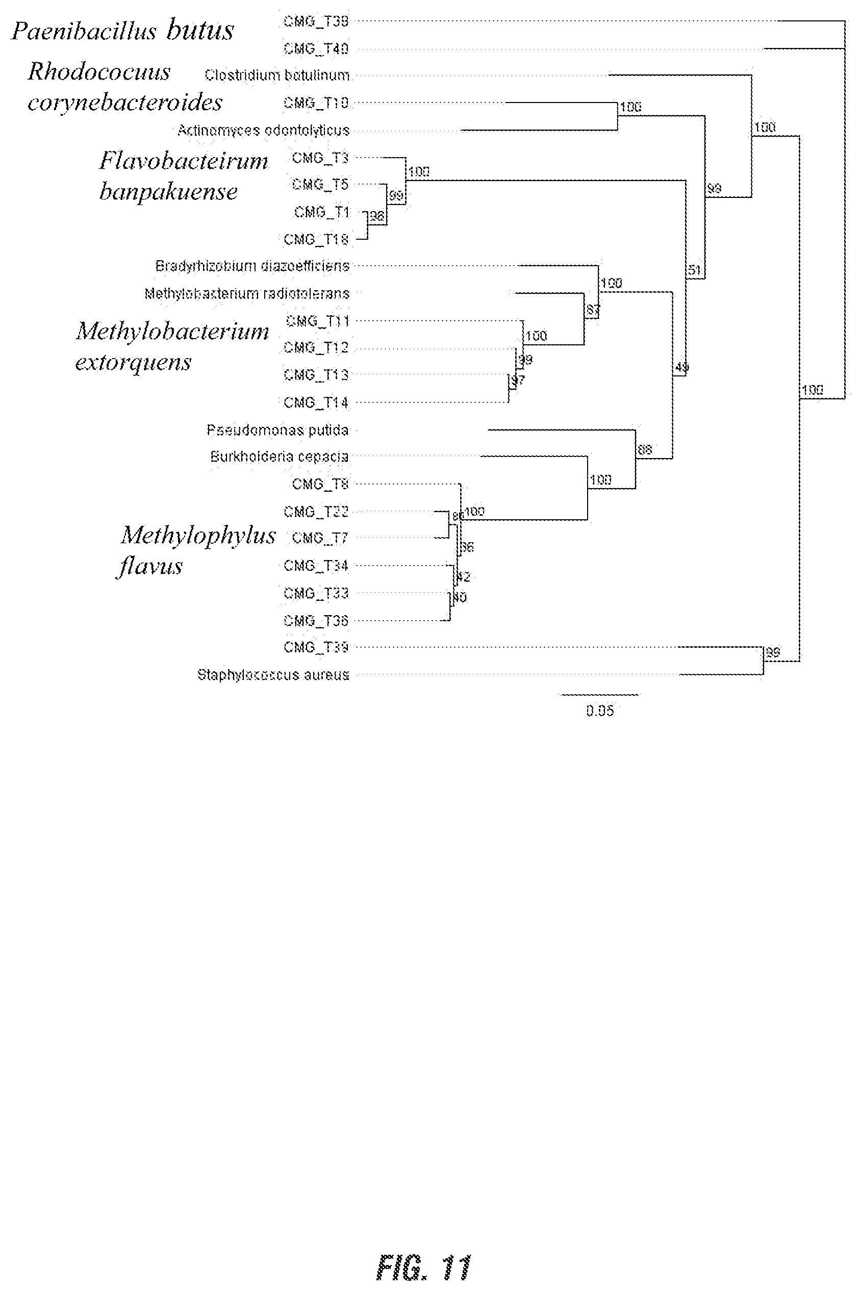 Patent US11812750 Figure 10 – Rare earth dependent plant probiotic compositions and methods of use