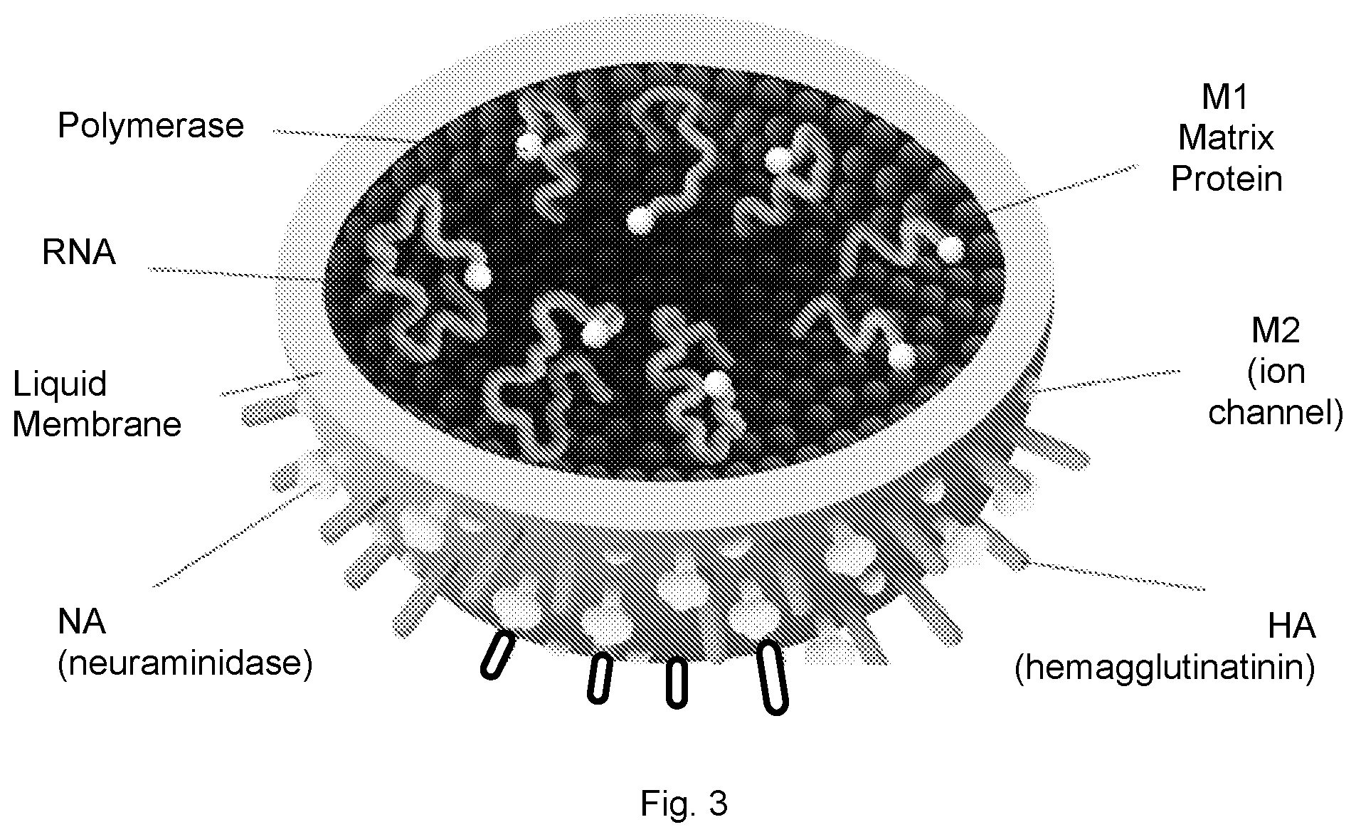 Patent US11812752 Figure 3 – Effective disinfectant system for elimination of RNA viruses