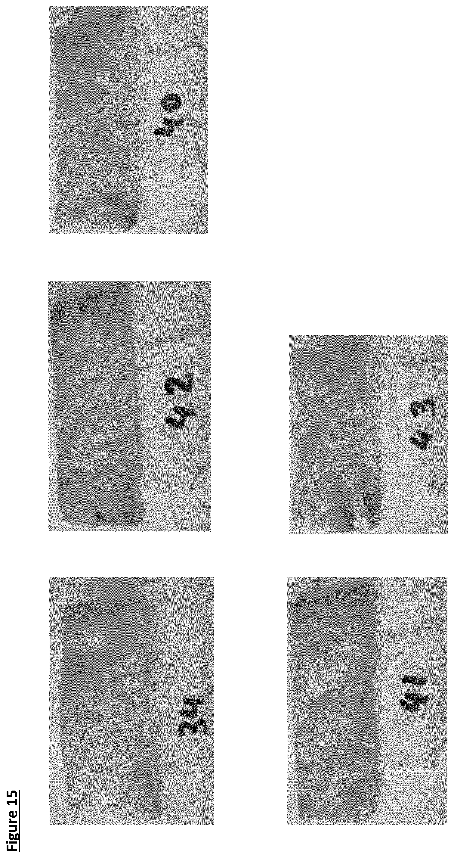 Patent US11812754 Figure 15 – Dietary fibre composition