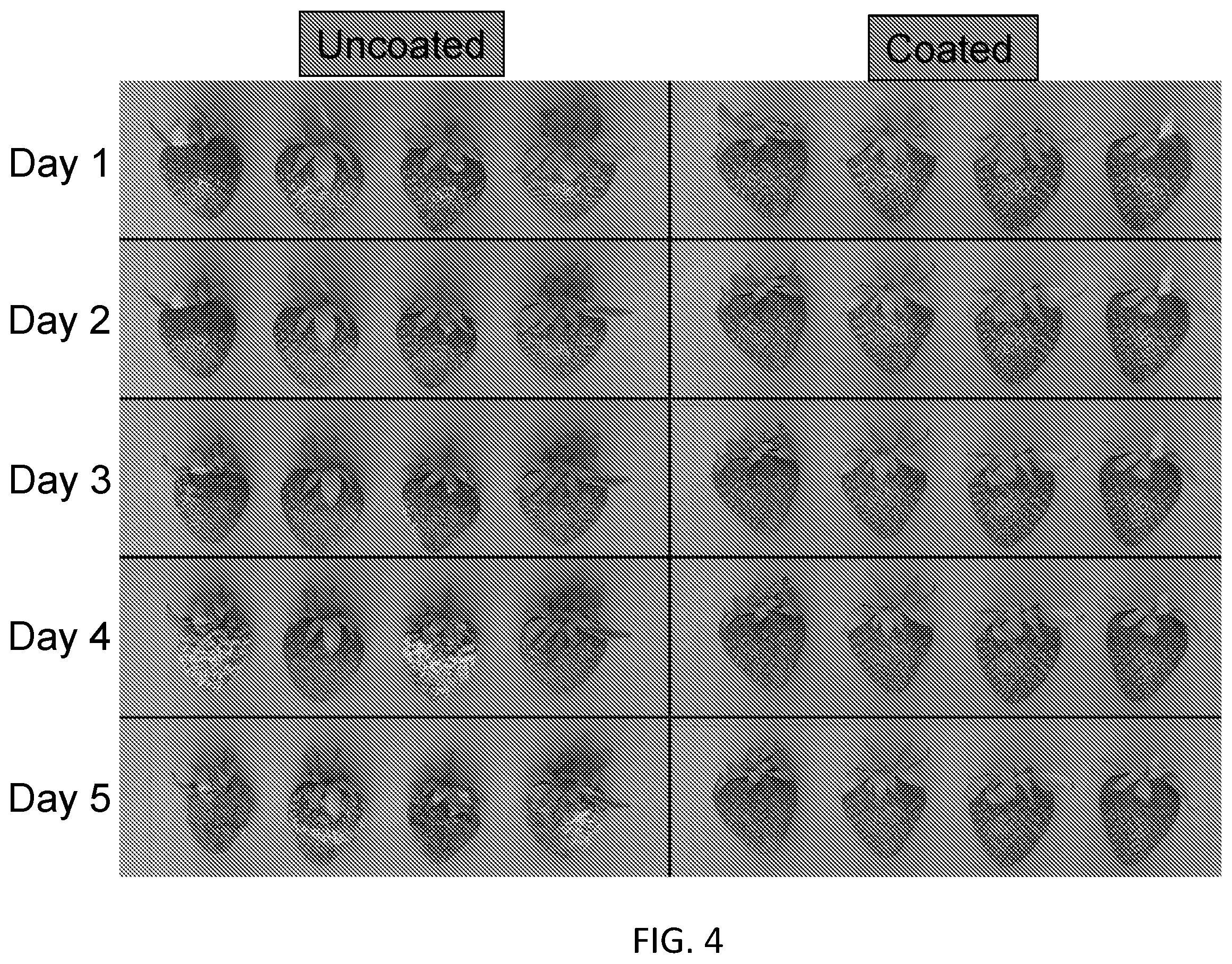 Patent US11812758 Figure 4 – Plant extract compositions and methods of preparation thereof