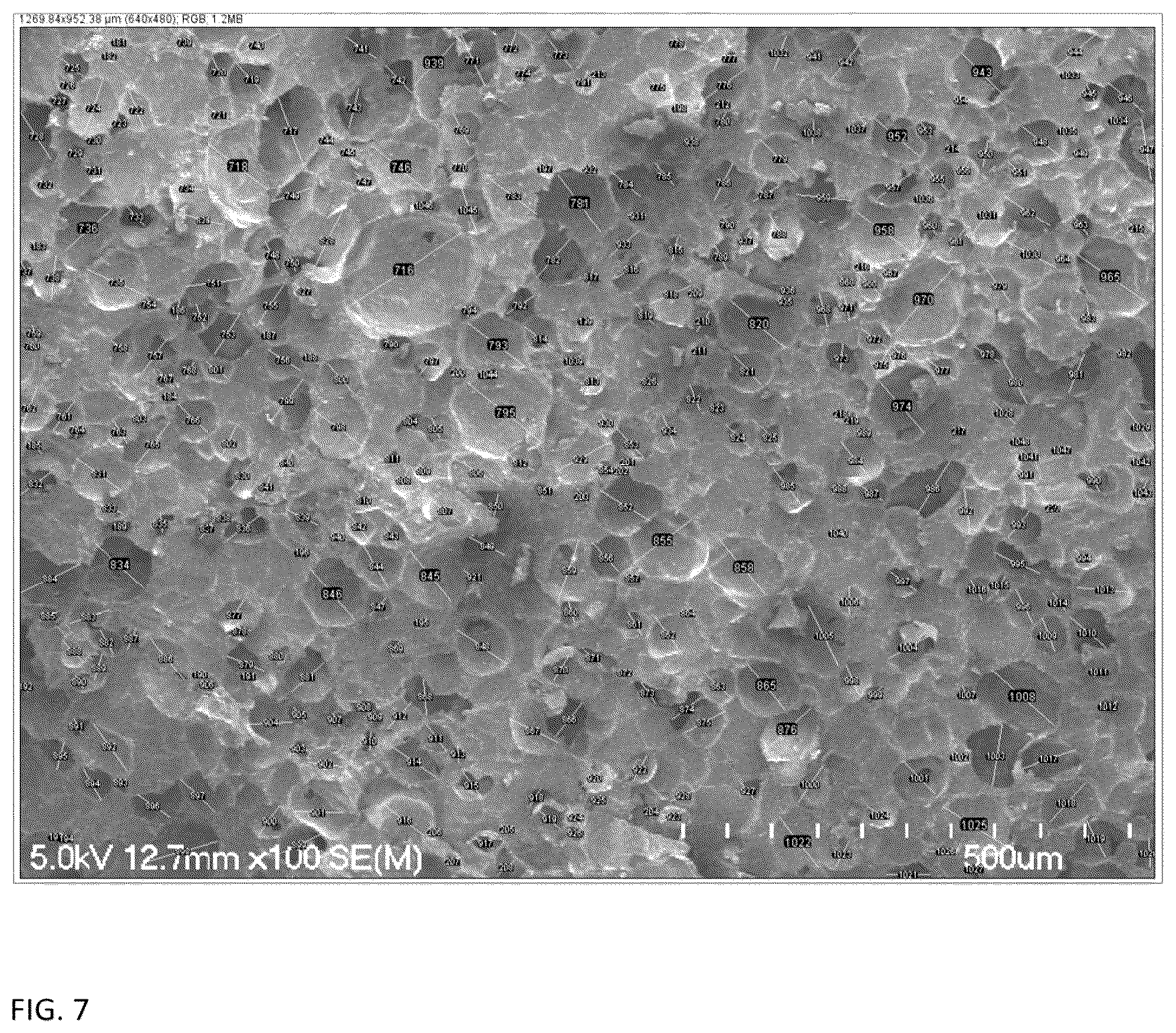 Patent US11812764 Figure 5 – Frozen confection and process of making