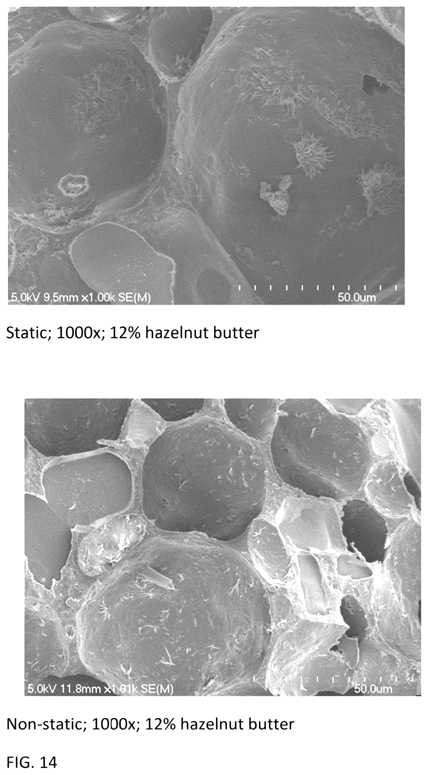 Patent US11812764 Figure 13 – Frozen confection and process of making