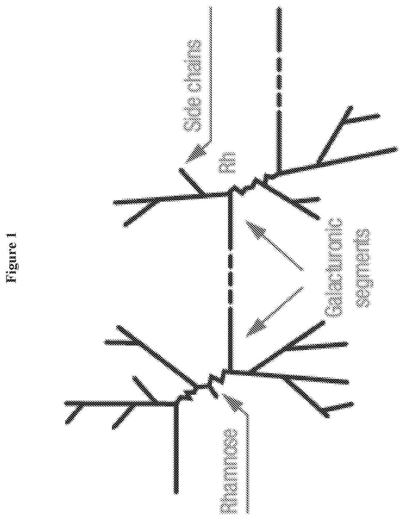 Patent US11812772 Figure 1 – Mouthfeel modulation in reduced and sugar-free beverages using a blend of pectin and xanthan gum