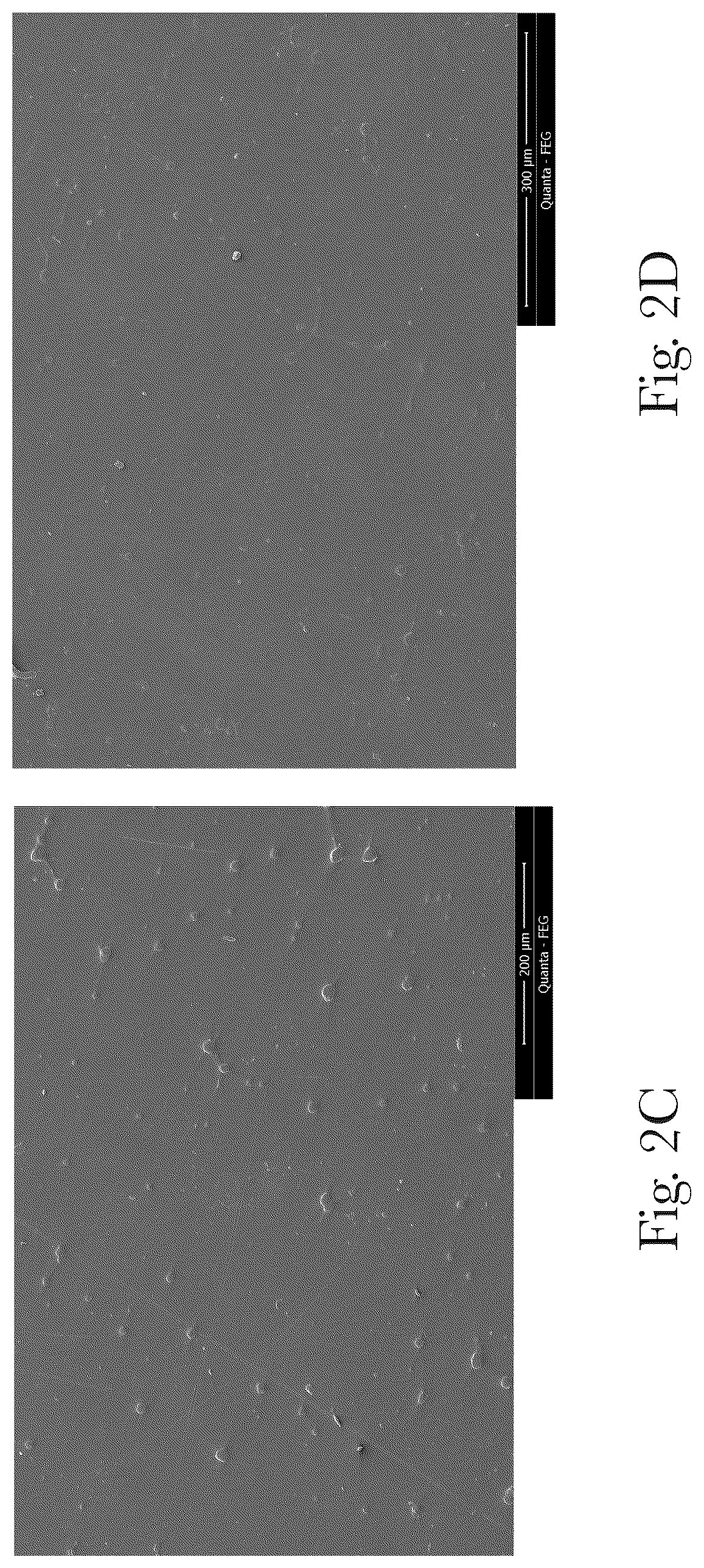 Patent US11814208 Figure 3 – Blow molded article with visual effects