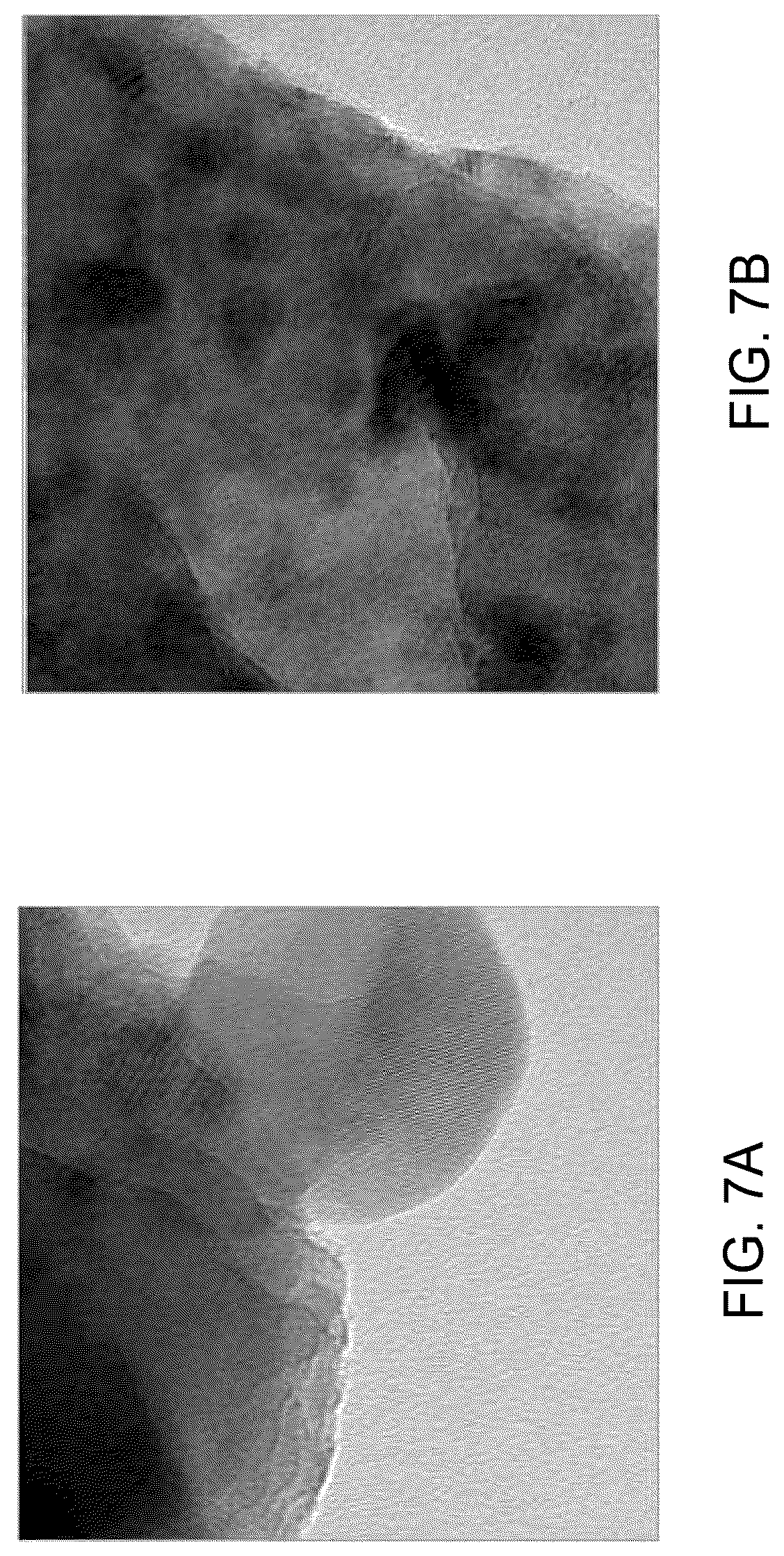 Patent US11814299 Figure 7 – Method for separation of rare earth elements from coal ash using supercritical carbon dioxide