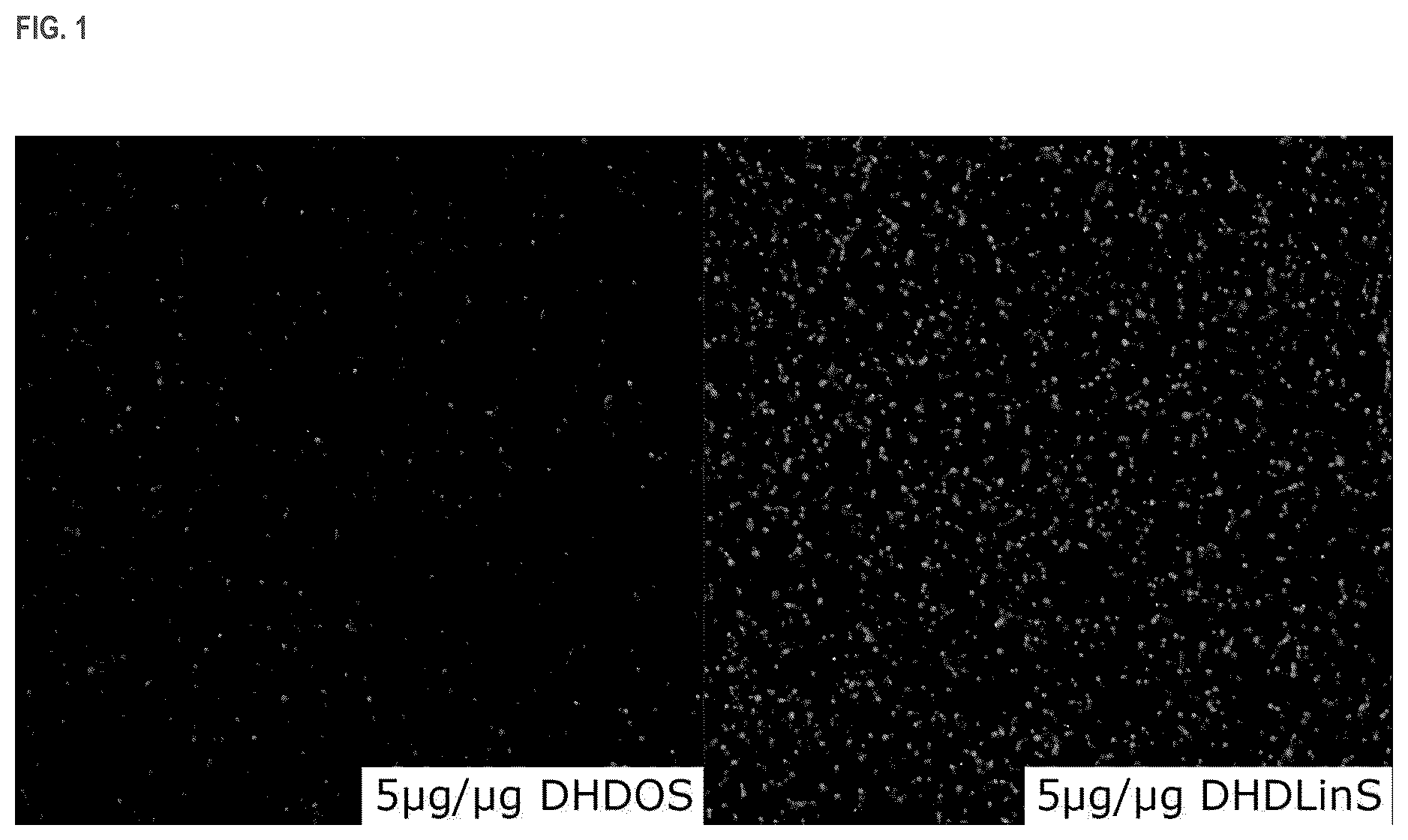 Patent US11814333 Figure 1 – Cationic lipids and transfection methods