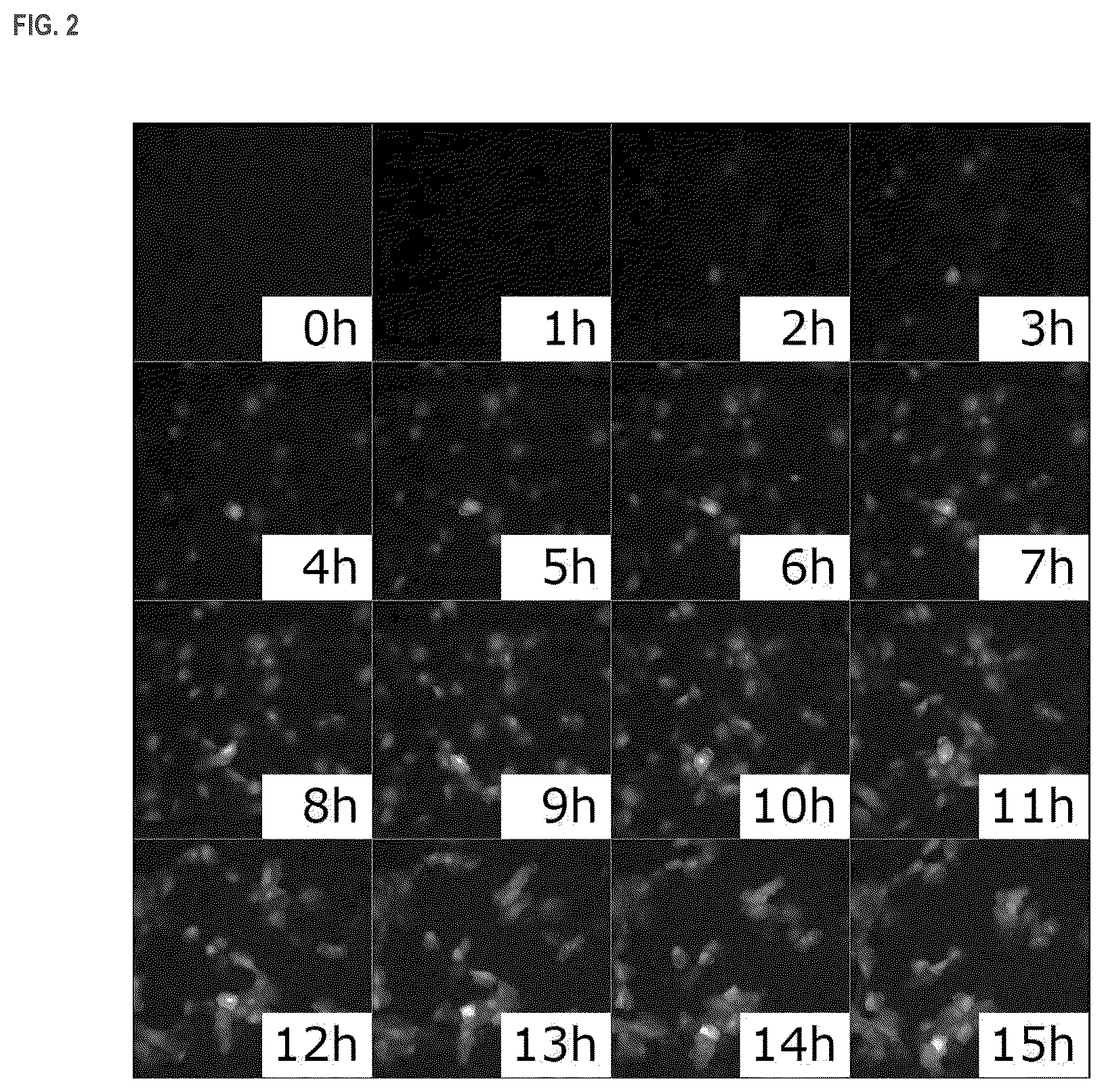 Patent US11814333 Figure 2 – Cationic lipids and transfection methods