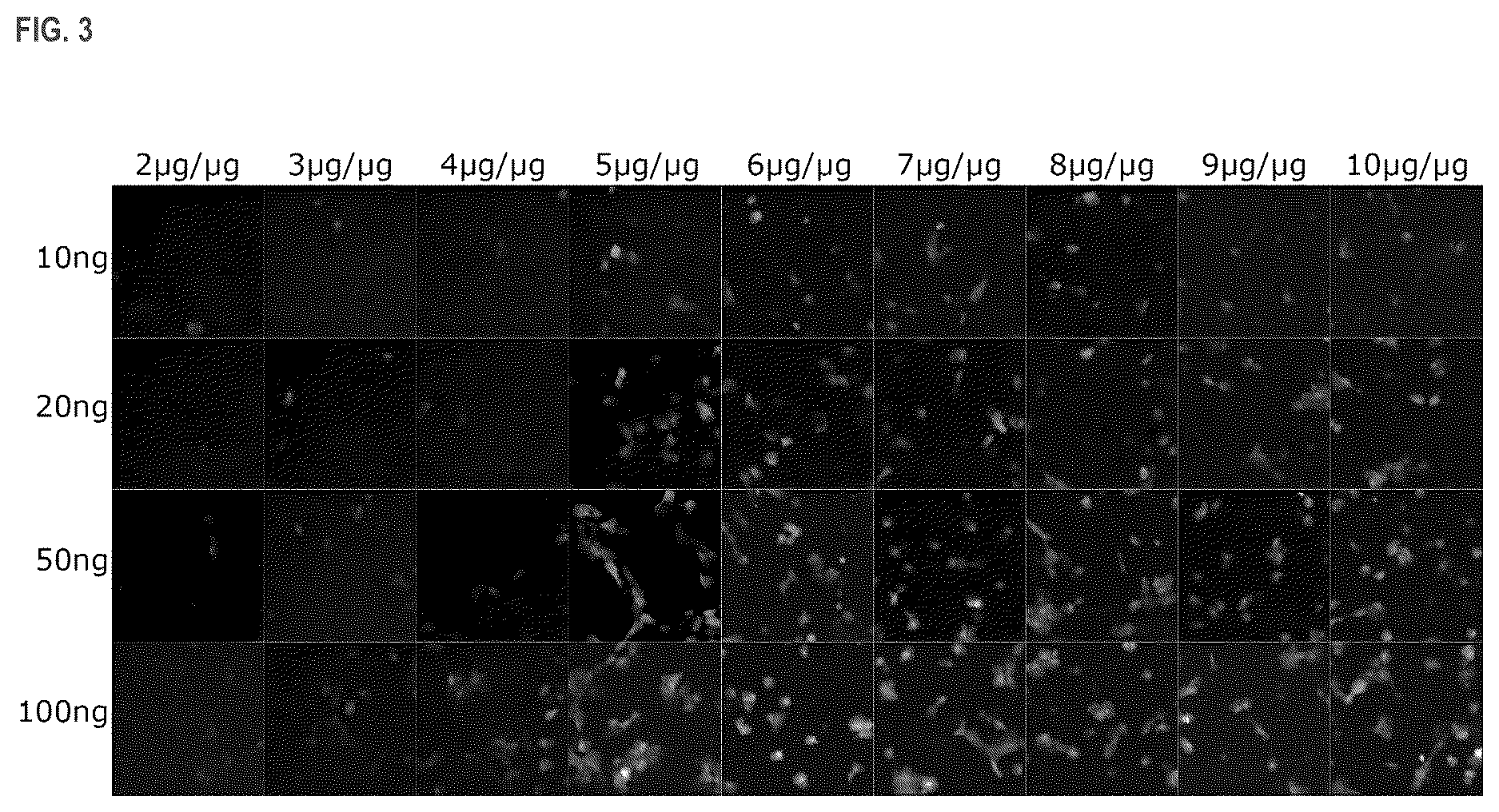 Patent US11814333 Figure 3 – Cationic lipids and transfection methods