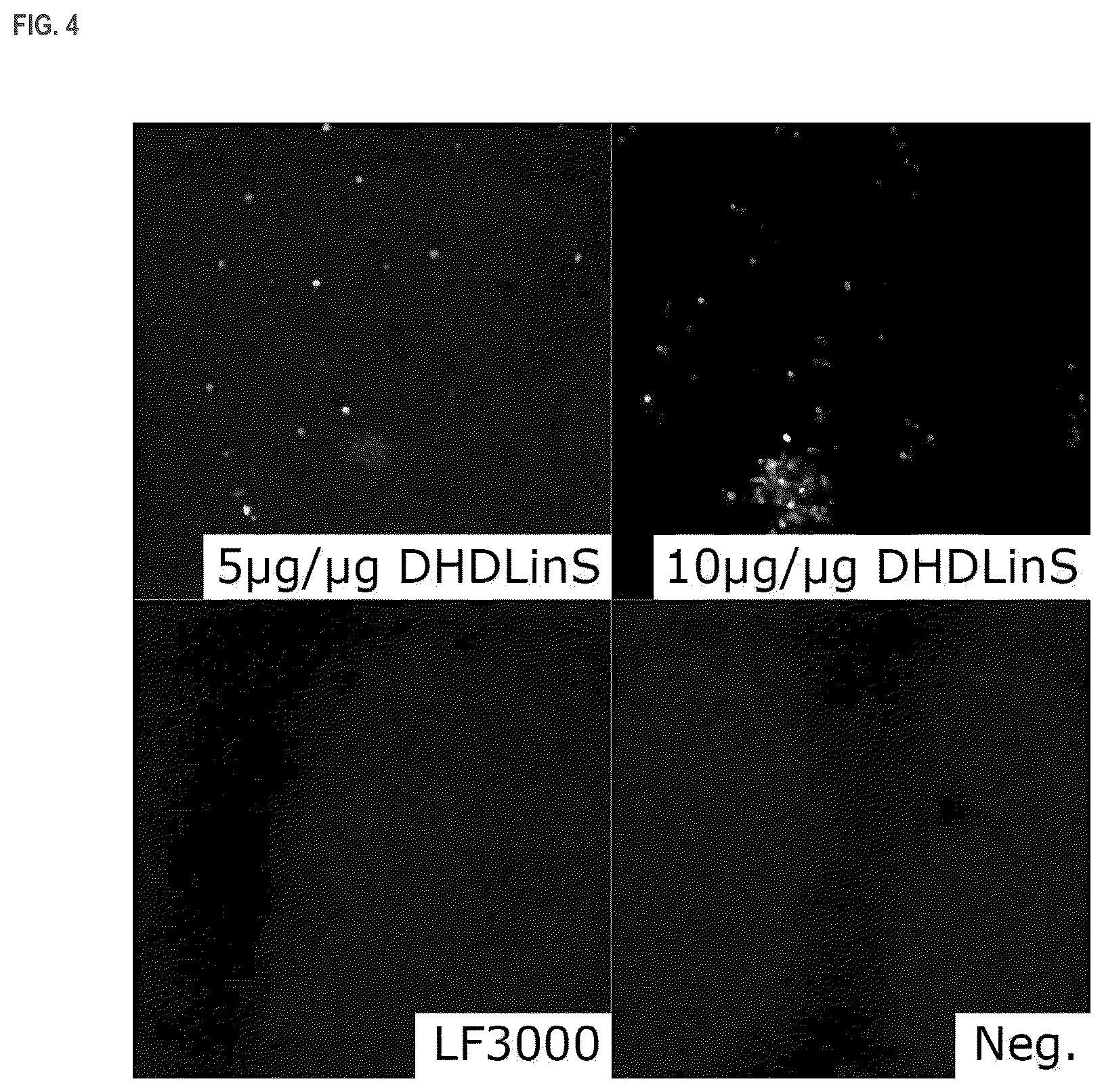 Patent US11814333 Figure 4 – Cationic lipids and transfection methods