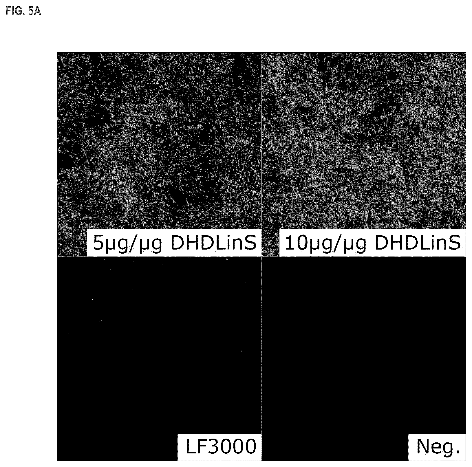 Patent US11814333 Figure 5 – Cationic lipids and transfection methods