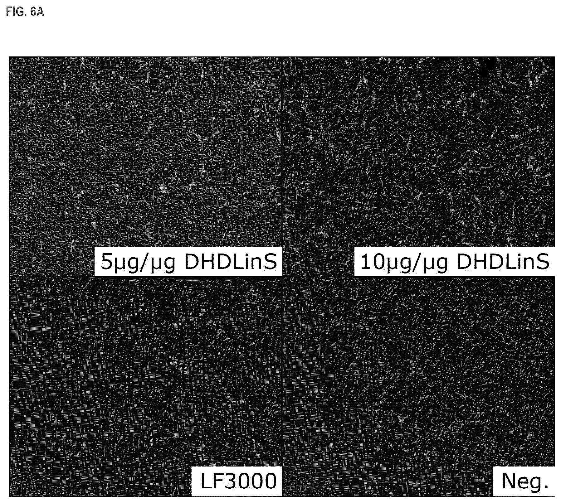 Patent US11814333 Figure 7 – Cationic lipids and transfection methods