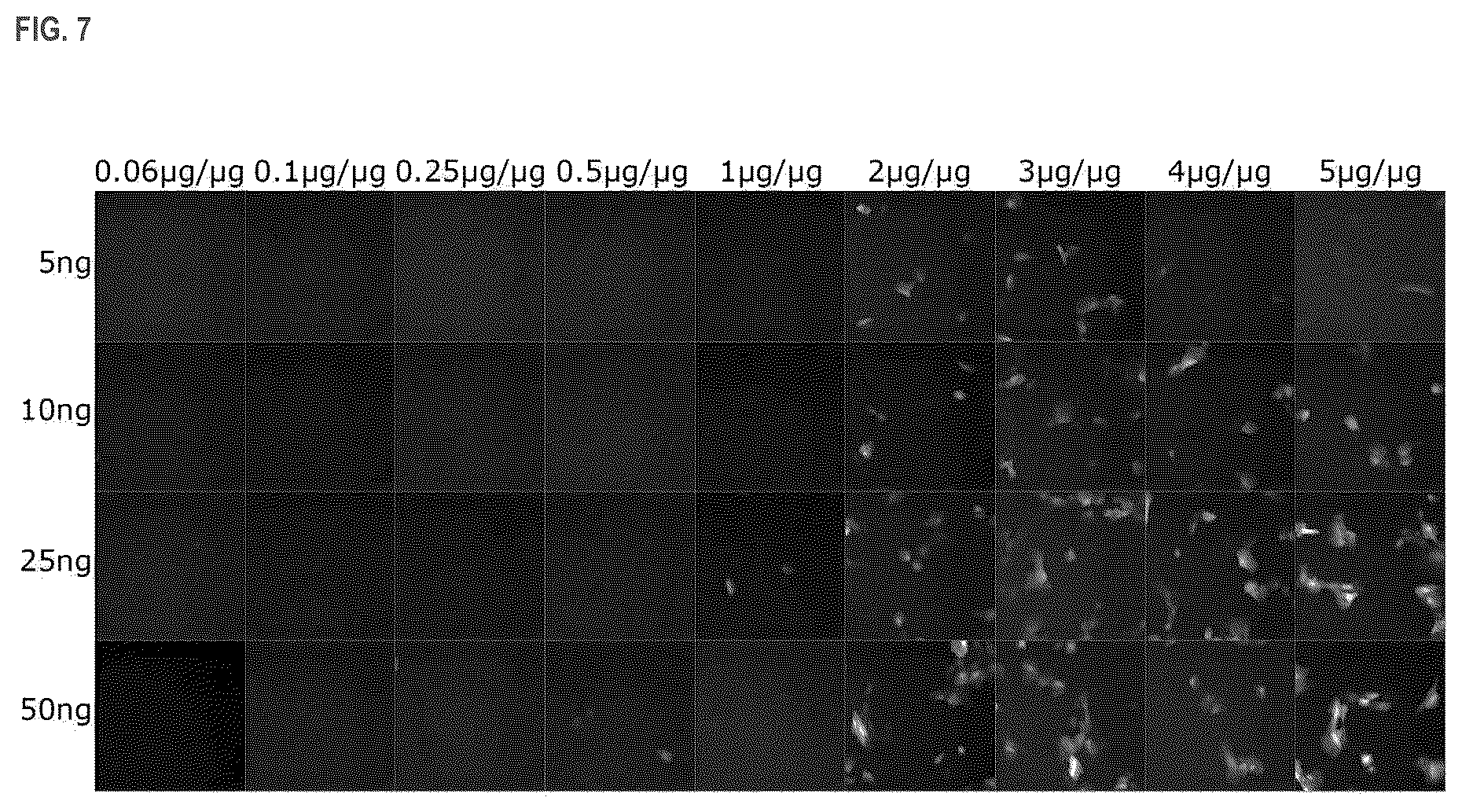 Patent US11814333 Figure 9 – Cationic lipids and transfection methods
