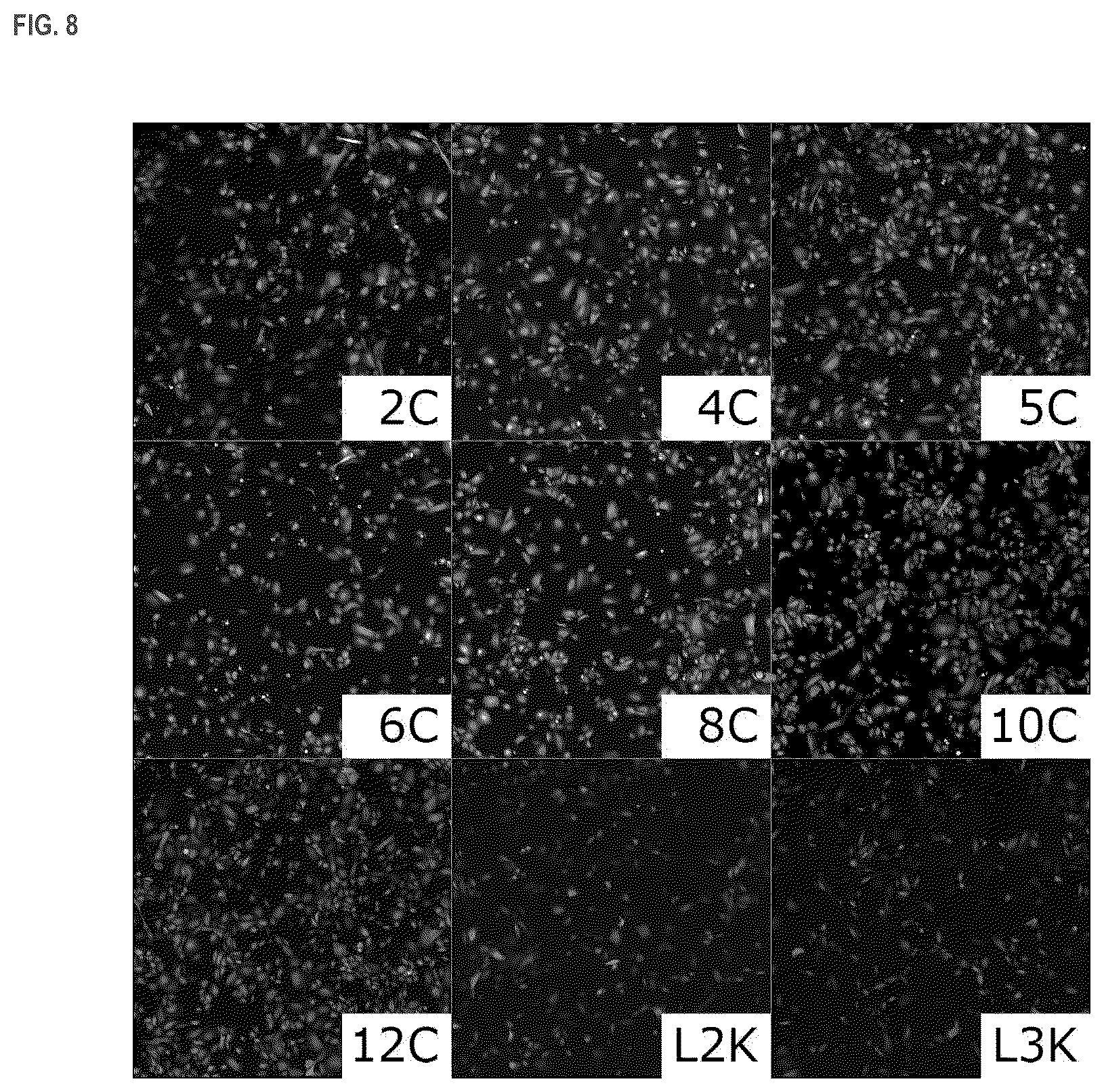 Patent US11814333 Figure 10 – Cationic lipids and transfection methods