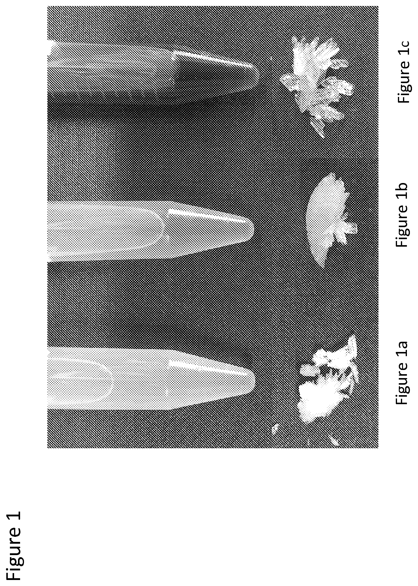 Patent US11814334 Figure 1 – Separation of basic amino acids