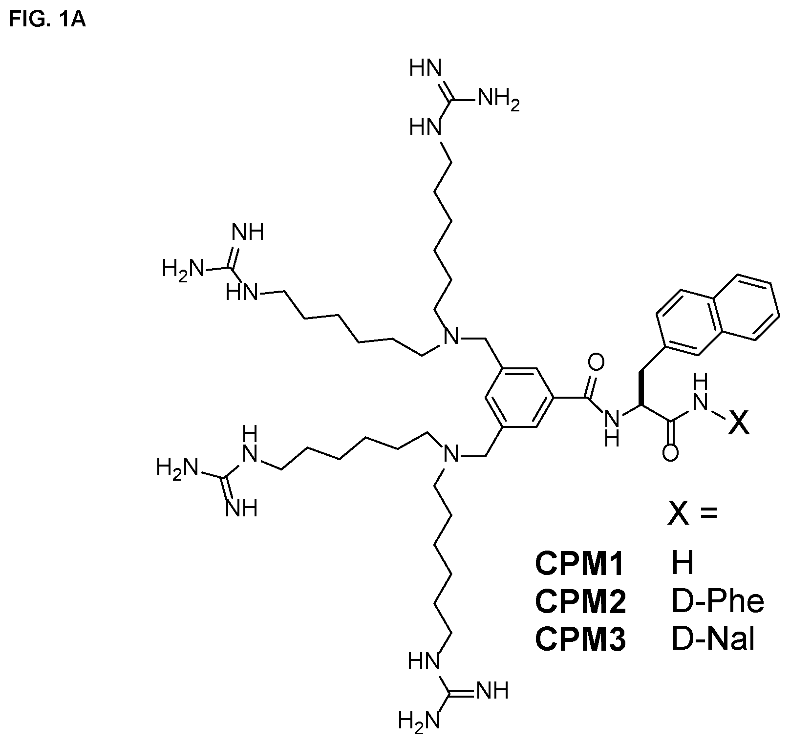 Patent US11814341 Figure 1 – Non-peptidic cell-penetrating motifs