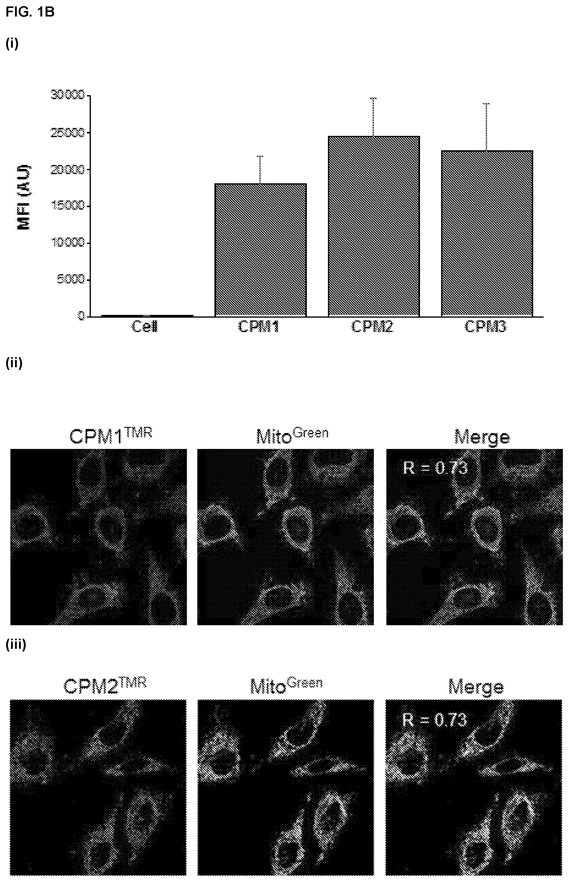Patent US11814341 Figure 2 – Non-peptidic cell-penetrating motifs