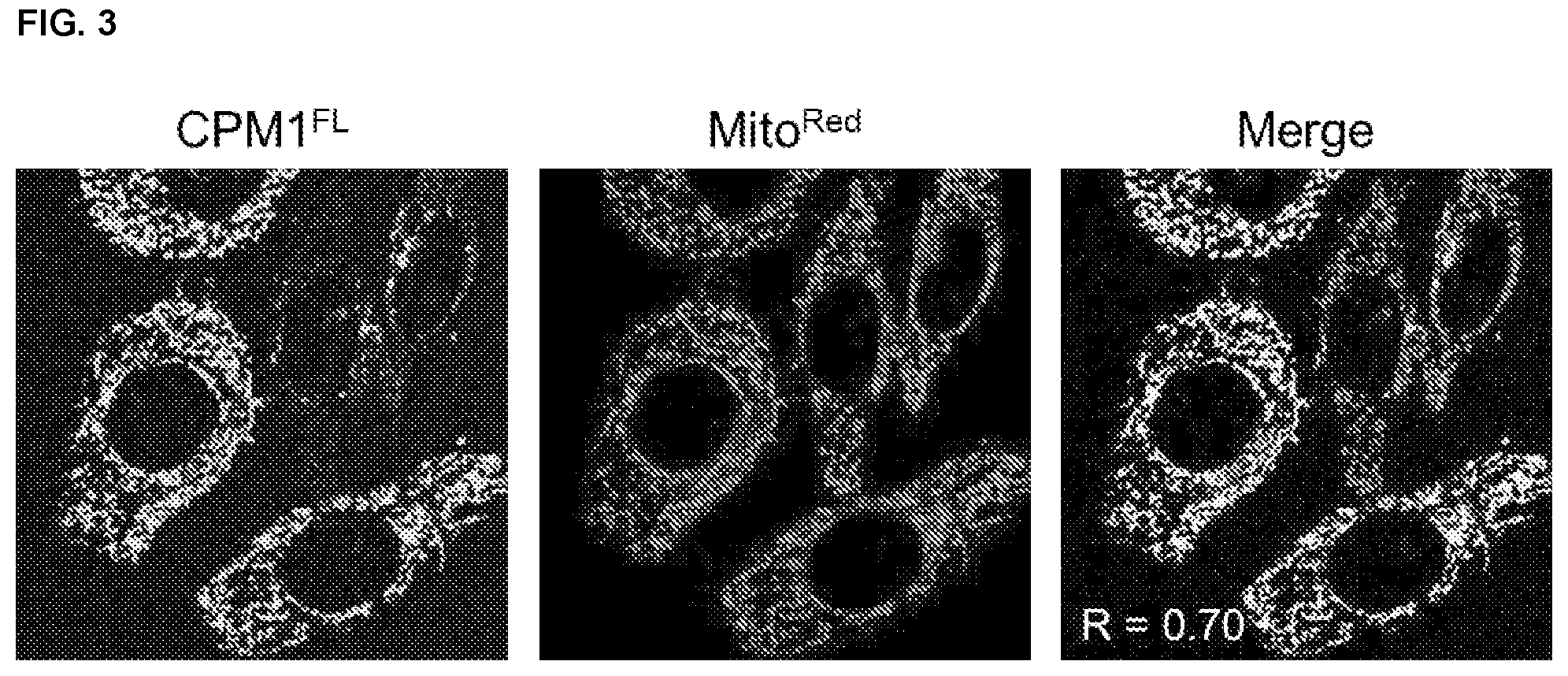 Patent US11814341 Figure 4 – Non-peptidic cell-penetrating motifs