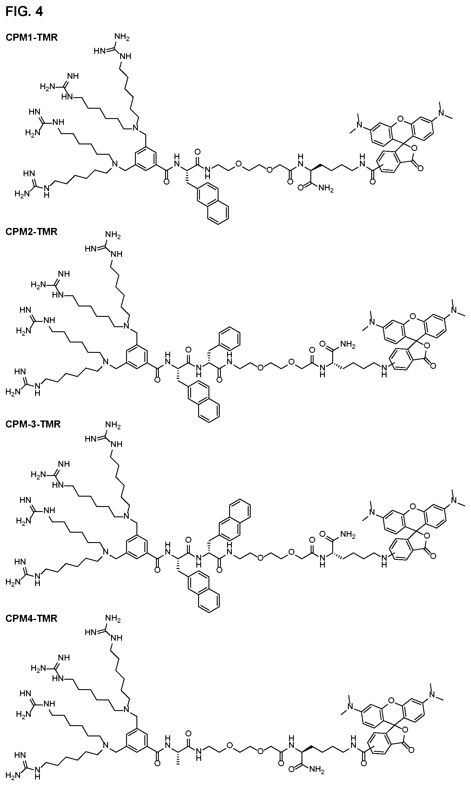 Patent US11814341 Figure 5 – Non-peptidic cell-penetrating motifs