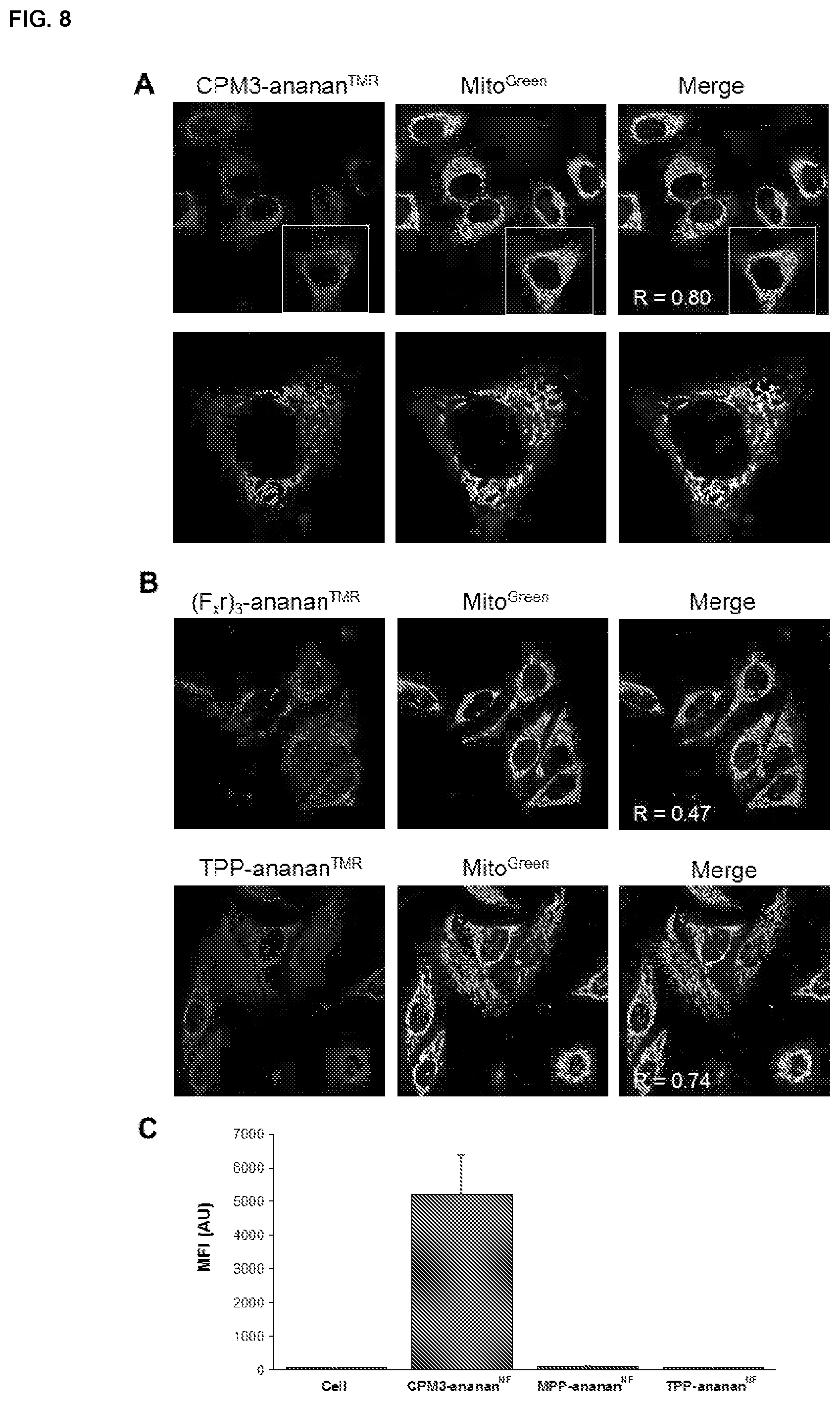 Patent US11814341 Figure 10 – Non-peptidic cell-penetrating motifs
