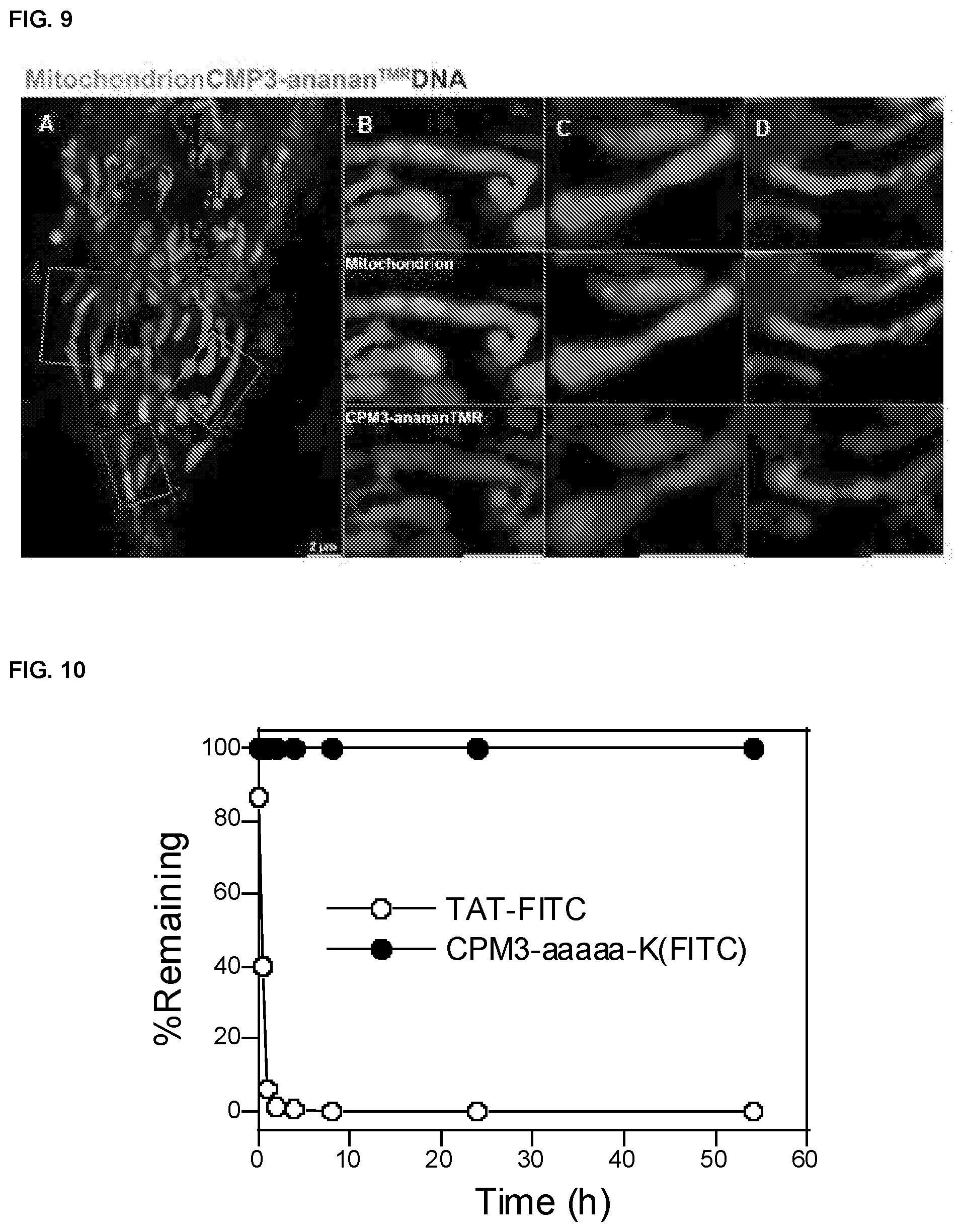 Patent US11814341 Figure 11 – Non-peptidic cell-penetrating motifs