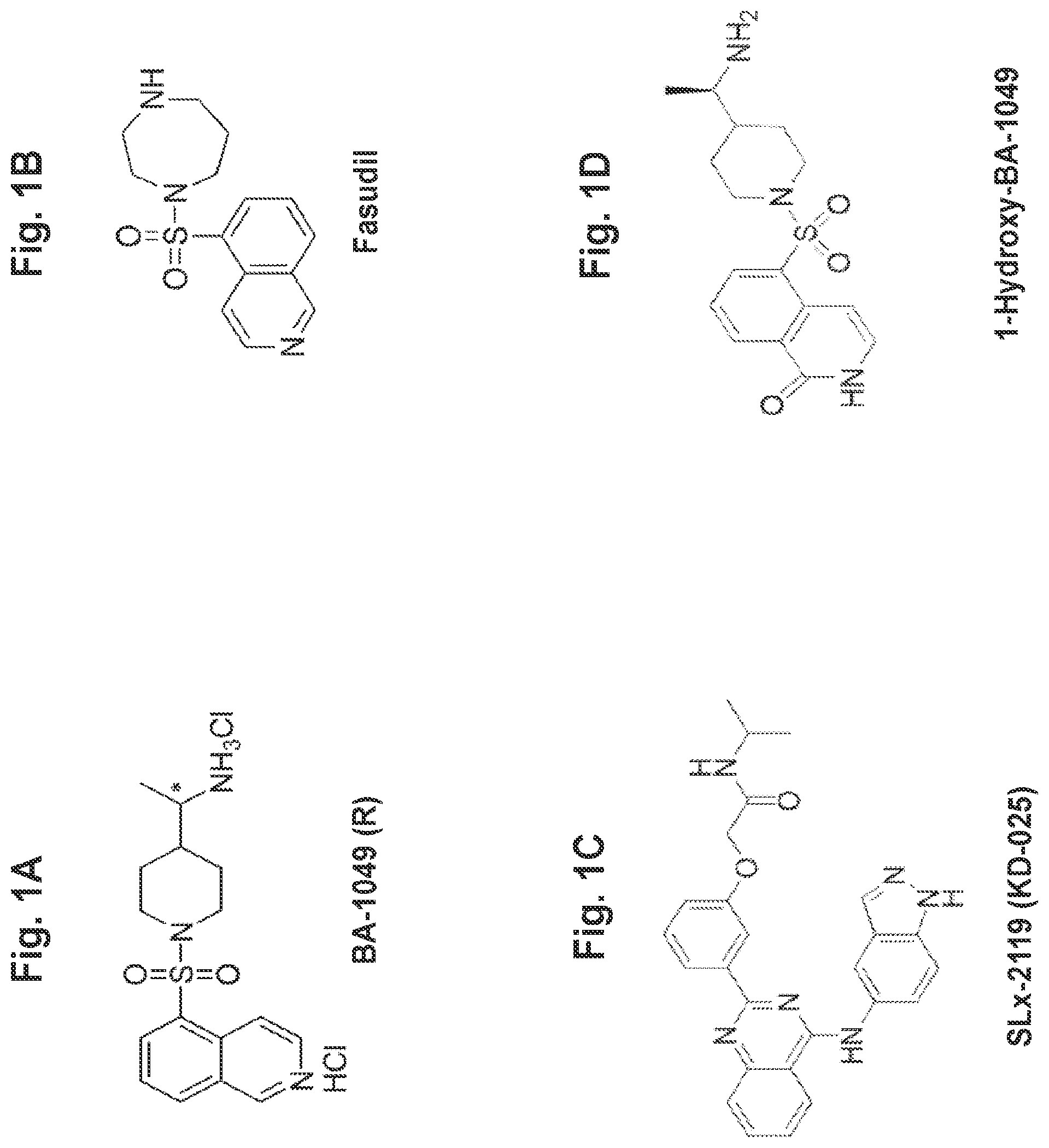 Patent US11814361 Figure 1 – Rho kinase inhibitor BA-1049 (R) and active metabolites thereof