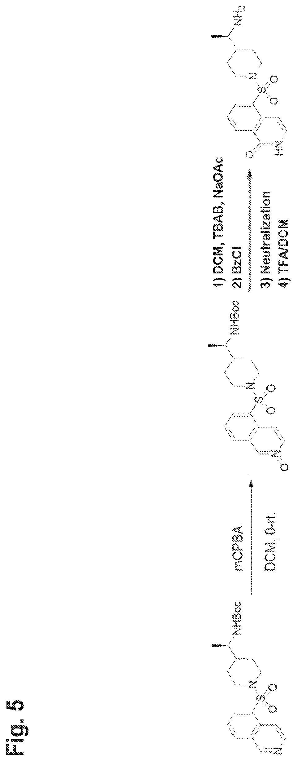 Patent US11814361 Figure 5 – Rho kinase inhibitor BA-1049 (R) and active metabolites thereof