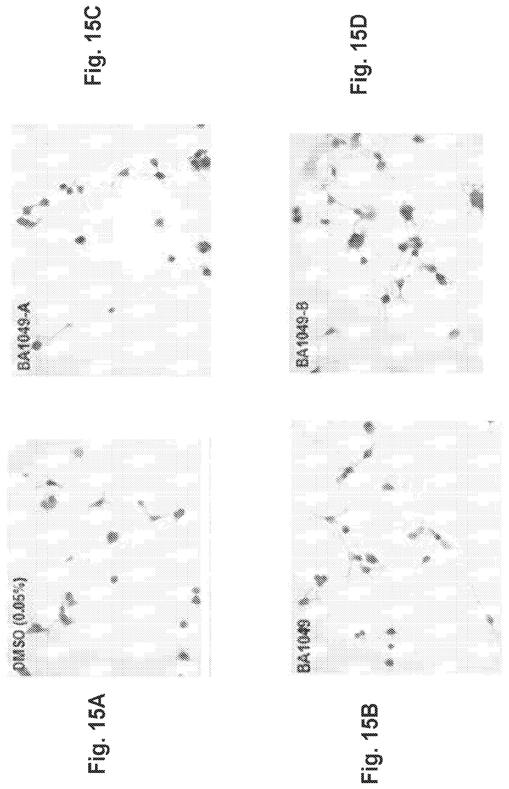 Patent US11814361 Figure 15 – Rho kinase inhibitor BA-1049 (R) and active metabolites thereof