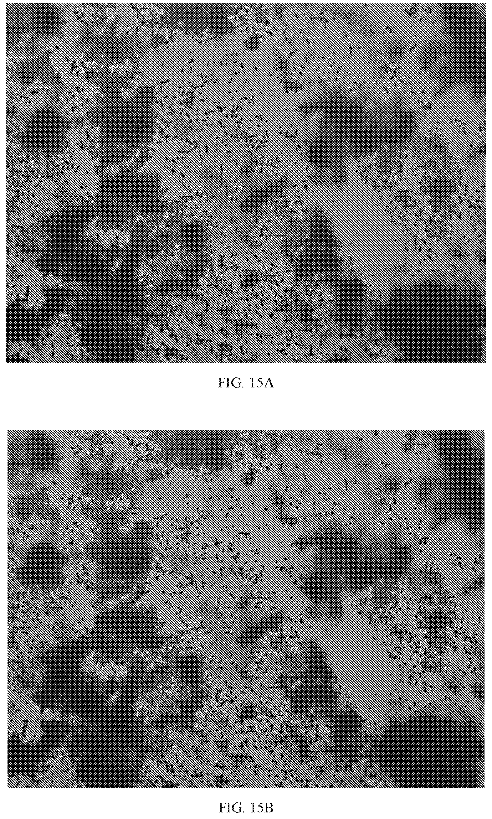 Patent US11814363 Figure 17 – Morphic forms of danicopan