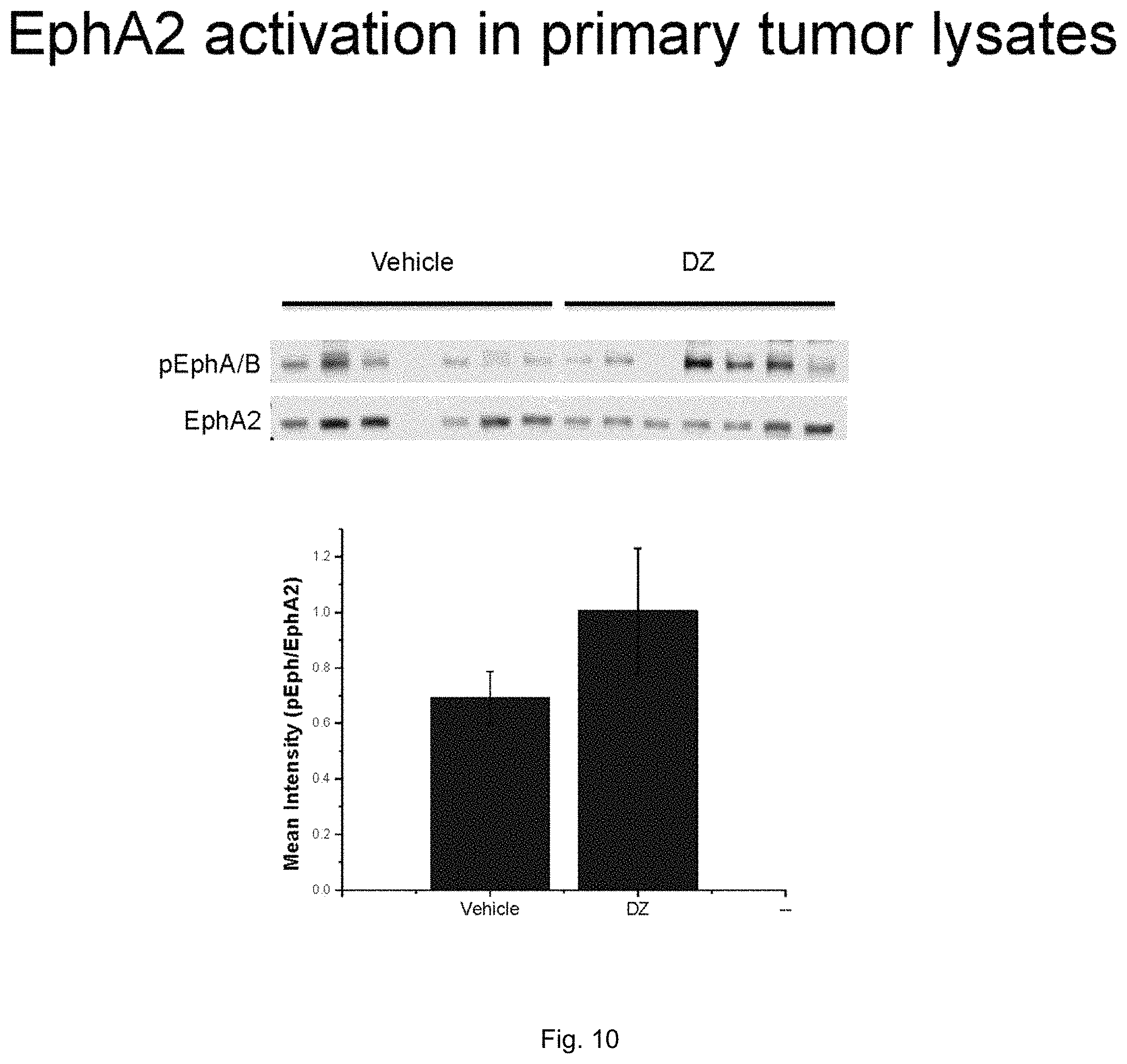 Patent US11814372 Figure 9 – Agonists of EPHA and their uses