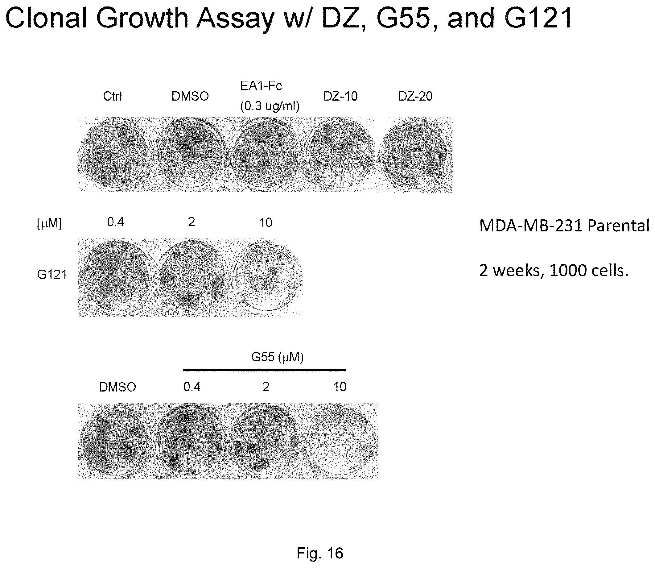Patent US11814372 Figure 14 – Agonists of EPHA and their uses