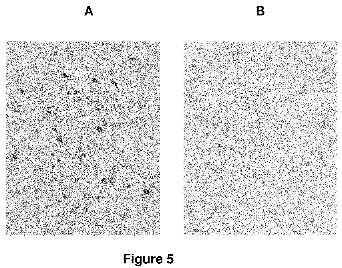 Patent US11814378 Figure 5 – Compounds for the treatment, alleviation or prevention of disorders associated with Tau aggregates