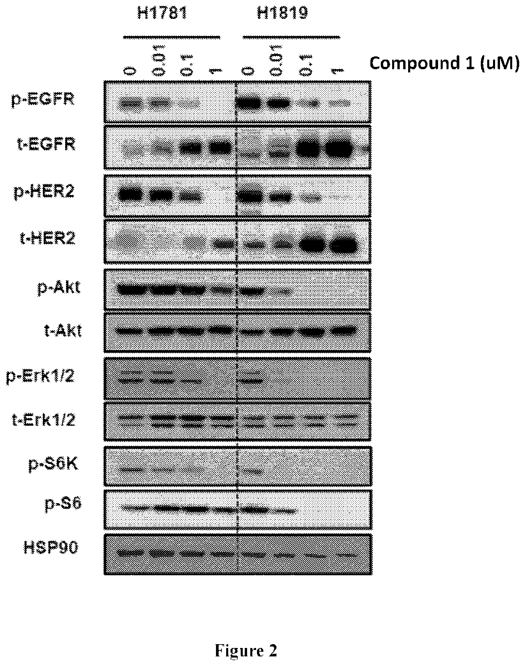 Patent US11814379 Figure 2 – Cyano quinoline amide compounds as HER2 inhibitors and methods of use