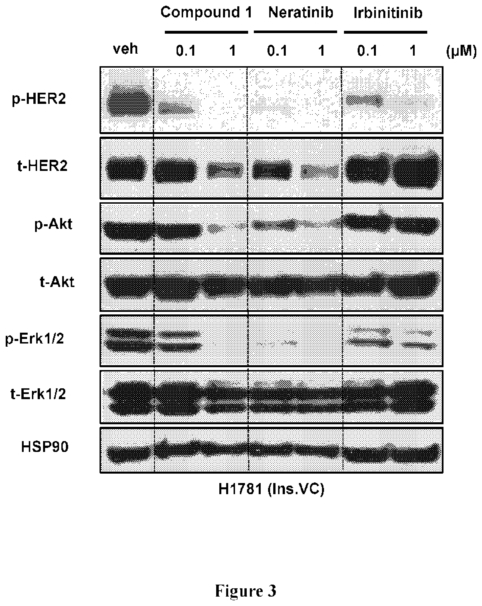Patent US11814379 Figure 3 – Cyano quinoline amide compounds as HER2 inhibitors and methods of use