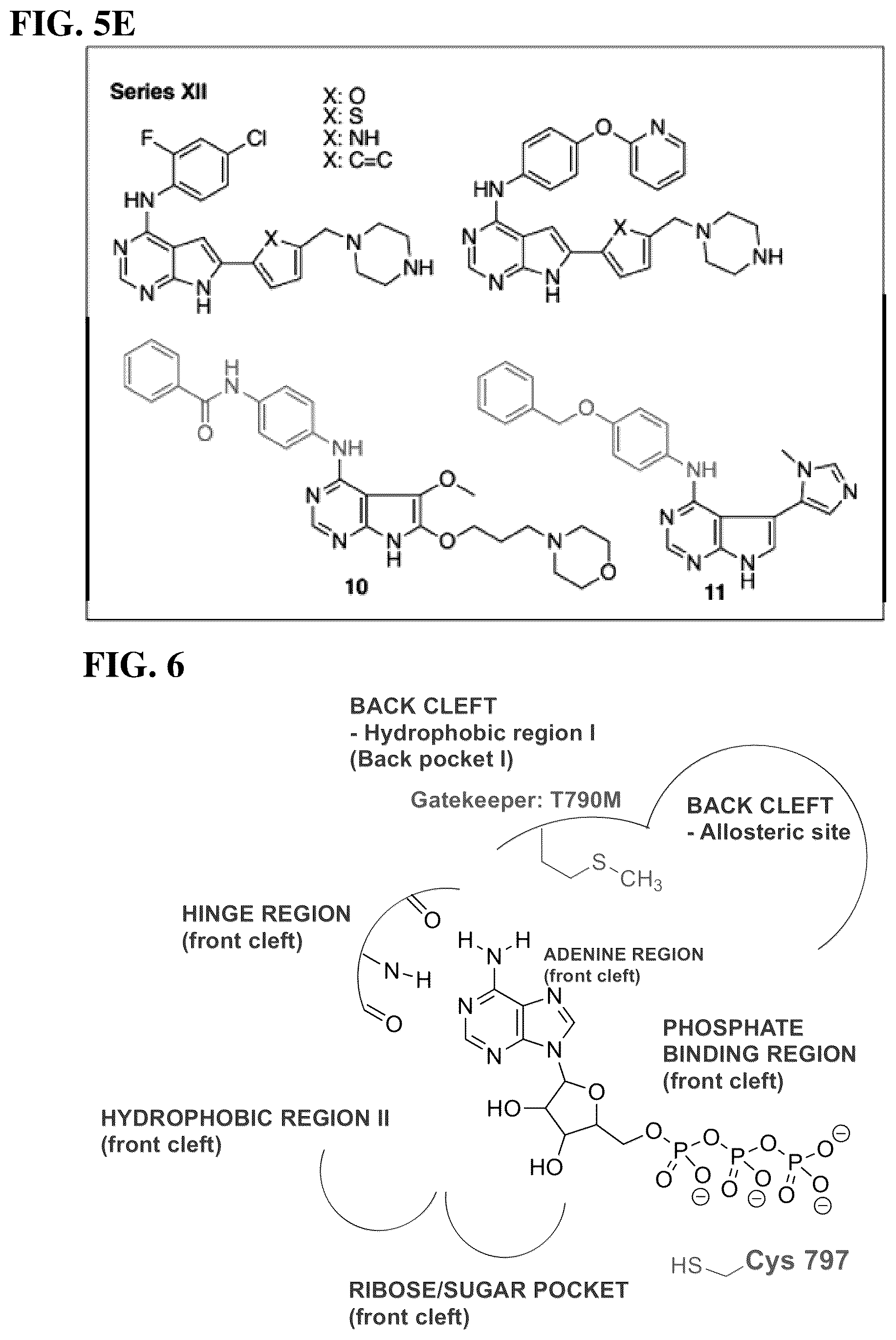 Patent US11814388 Figure 11 – Substituted pyrrolo[2,3-d]pyrimidines and pyrazolo[3,4-d]pyrimidines as inhibitors for multi-resistant cancers