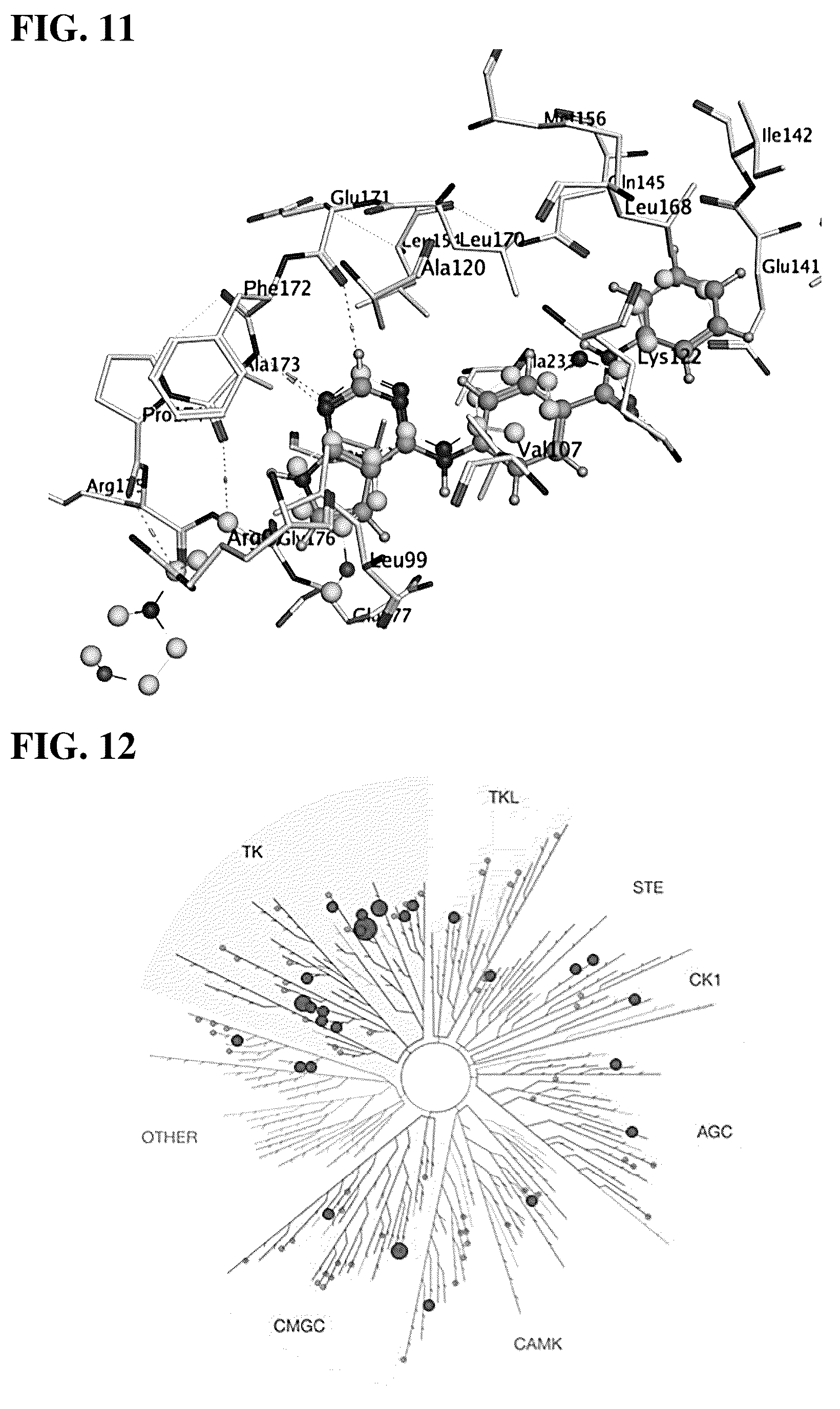 Patent US11814388 Figure 14 – Substituted pyrrolo[2,3-d]pyrimidines and pyrazolo[3,4-d]pyrimidines as inhibitors for multi-resistant cancers