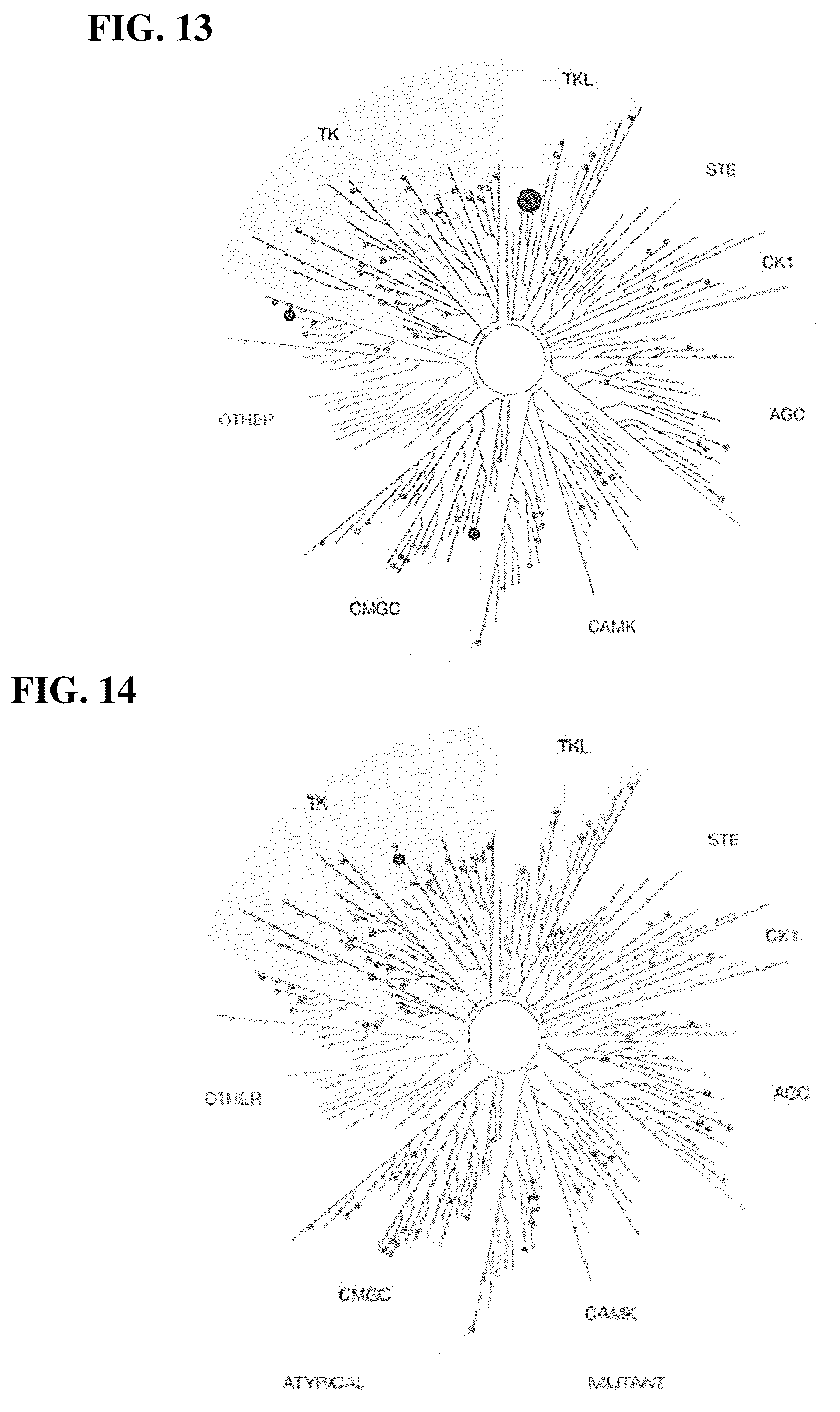 Patent US11814388 Figure 15 – Substituted pyrrolo[2,3-d]pyrimidines and pyrazolo[3,4-d]pyrimidines as inhibitors for multi-resistant cancers