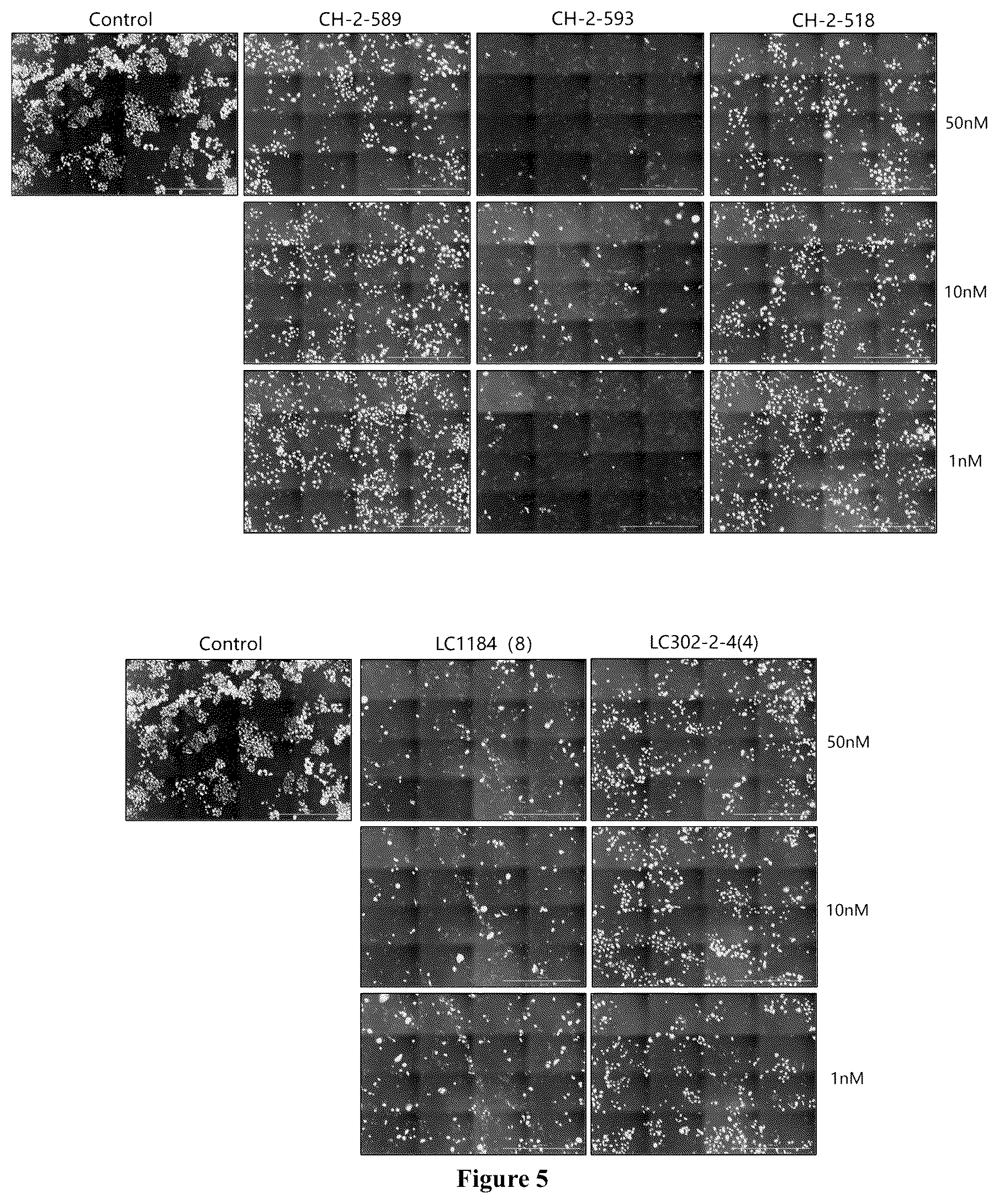 Patent US11814394 Figure 3 – Exatecan derivatives, linker-payloads, and conjugates and thereof