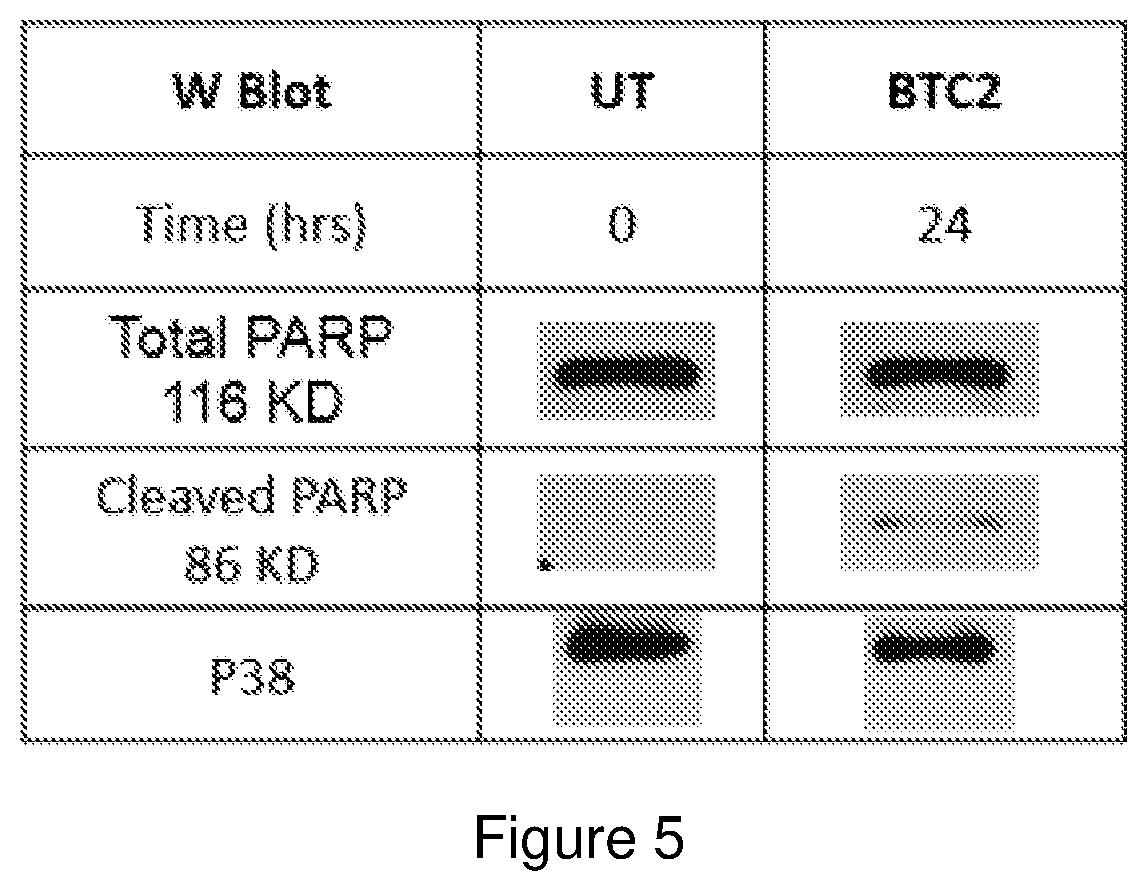 Patent US11814402 Figure 4 – Binuclear palladacycles and their use in the treatment of cancer