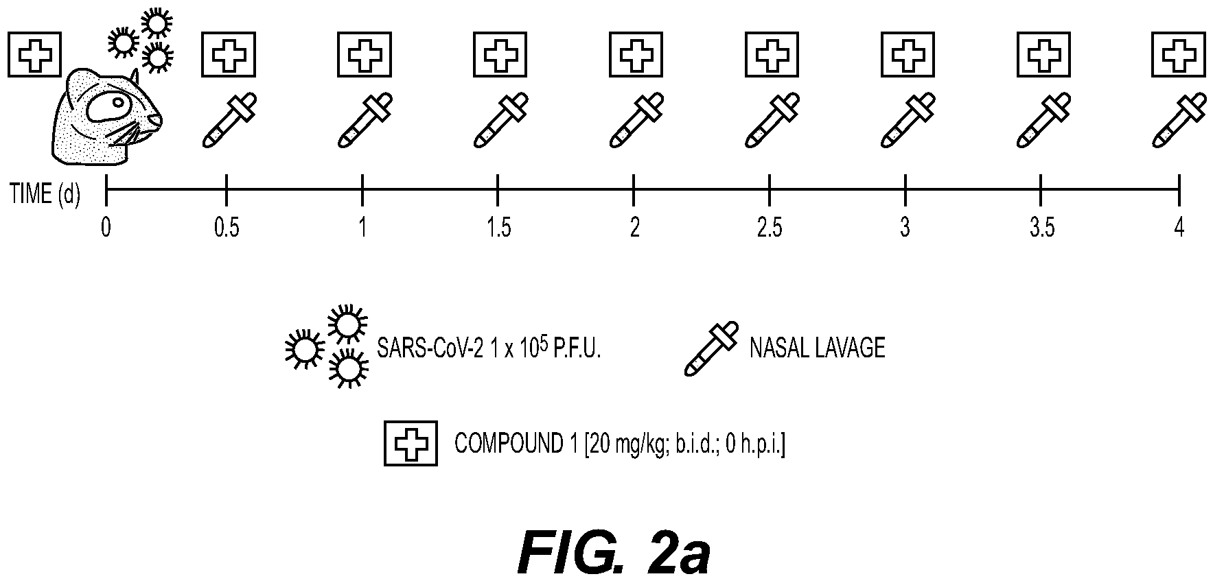 Patent US11814406 Figure 4 – Compounds and methods for treatment of viral infections