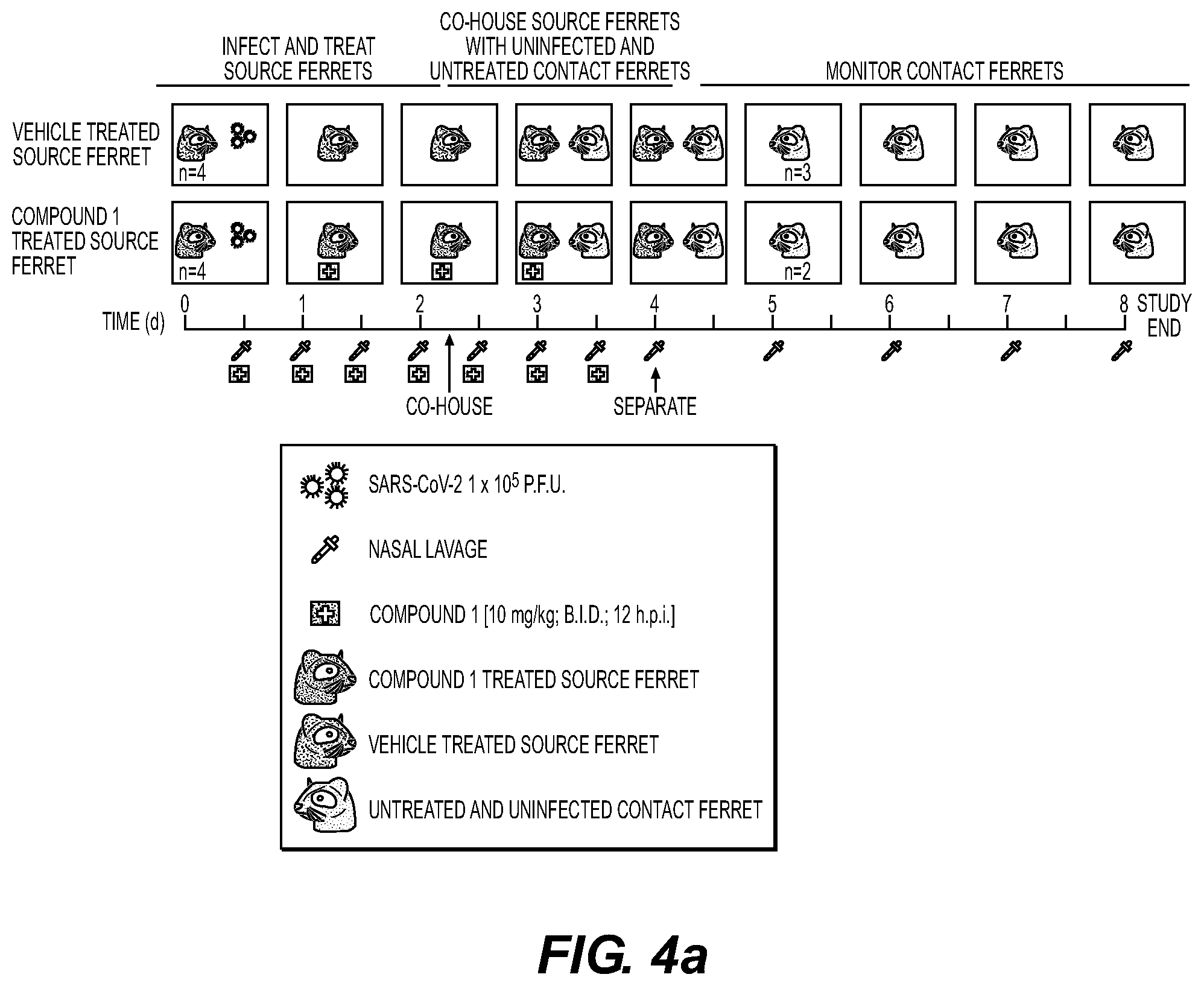 Patent US11814406 Figure 13 – Compounds and methods for treatment of viral infections