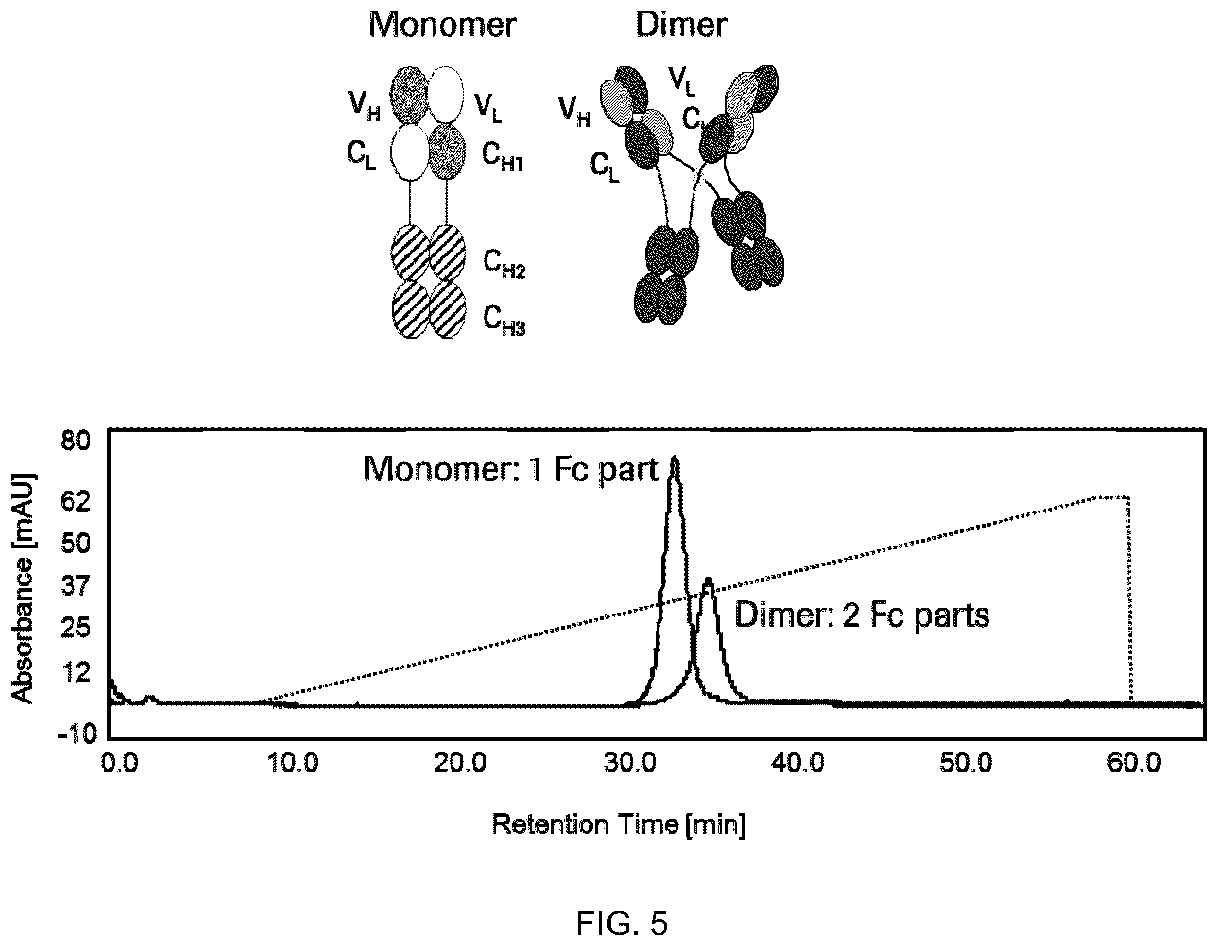 Patent US11814409 Figure 5 – Fc-receptor based affinity chromatography