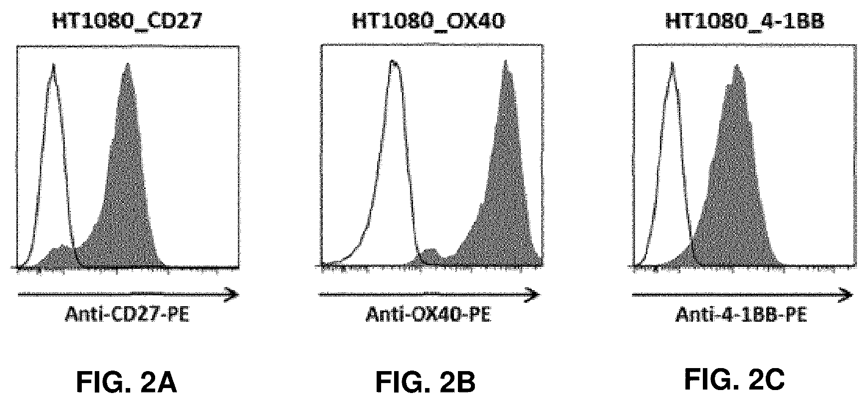 Patent US11814411 Figure 2 – Nucleic acid molecules encoding binding agents to CD40 and 4-1BB (CD137)