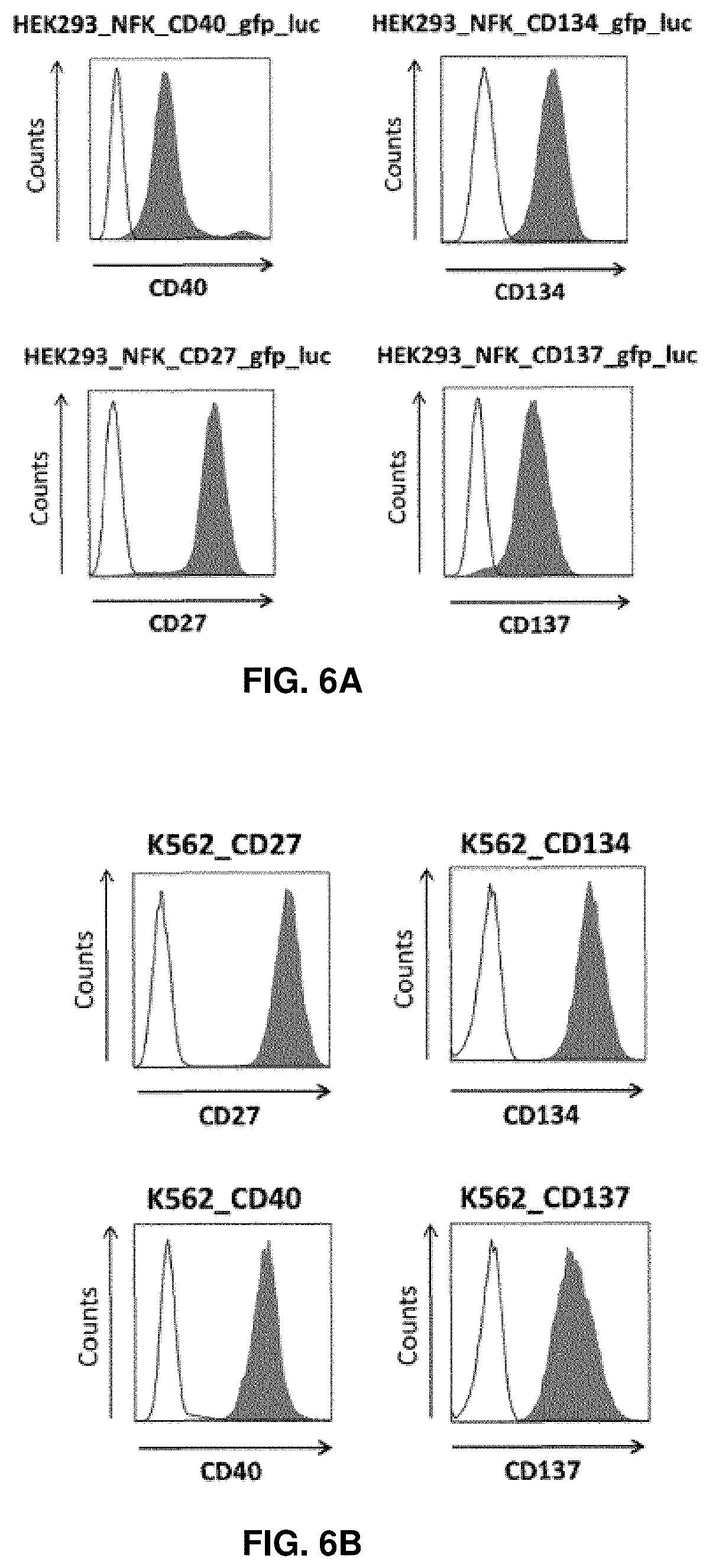 Patent US11814411 Figure 6 – Nucleic acid molecules encoding binding agents to CD40 and 4-1BB (CD137)
