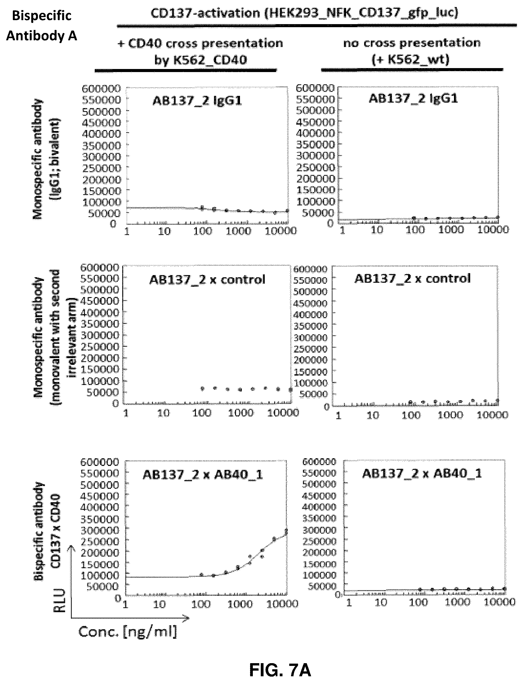 Patent US11814411 Figure 7 – Nucleic acid molecules encoding binding agents to CD40 and 4-1BB (CD137)