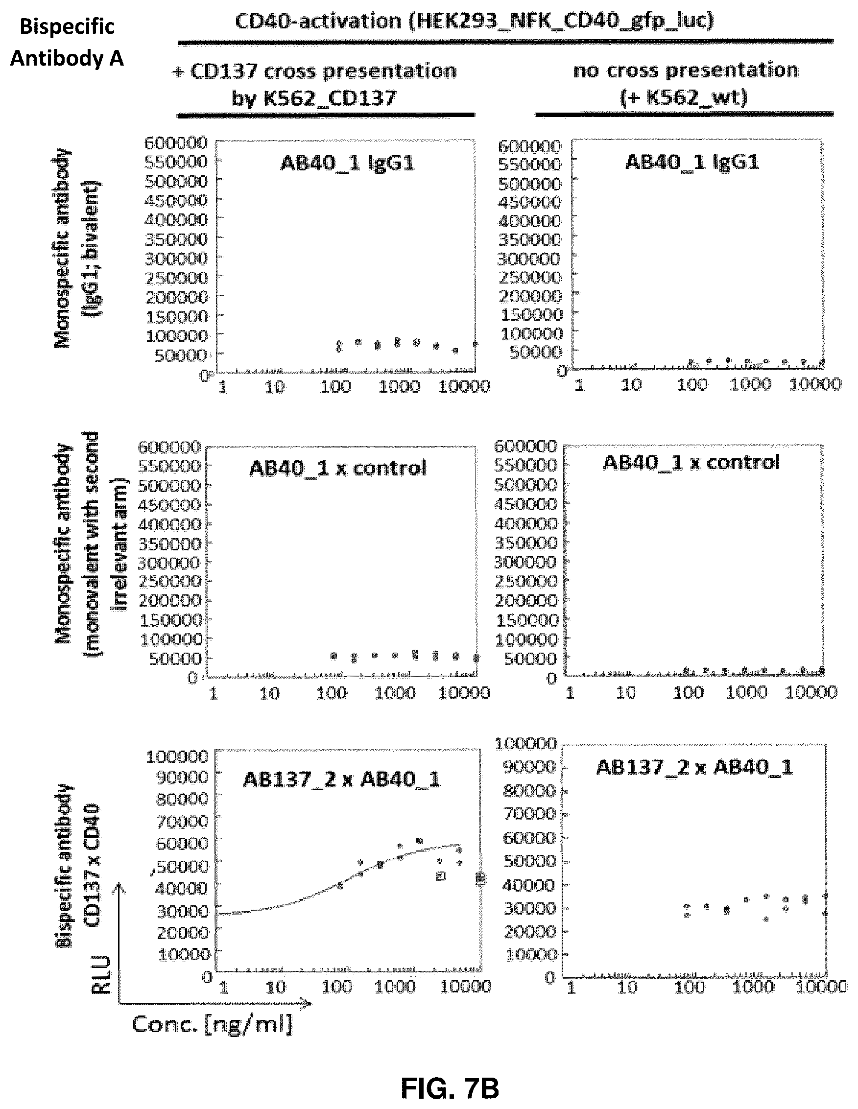 Patent US11814411 Figure 8 – Nucleic acid molecules encoding binding agents to CD40 and 4-1BB (CD137)