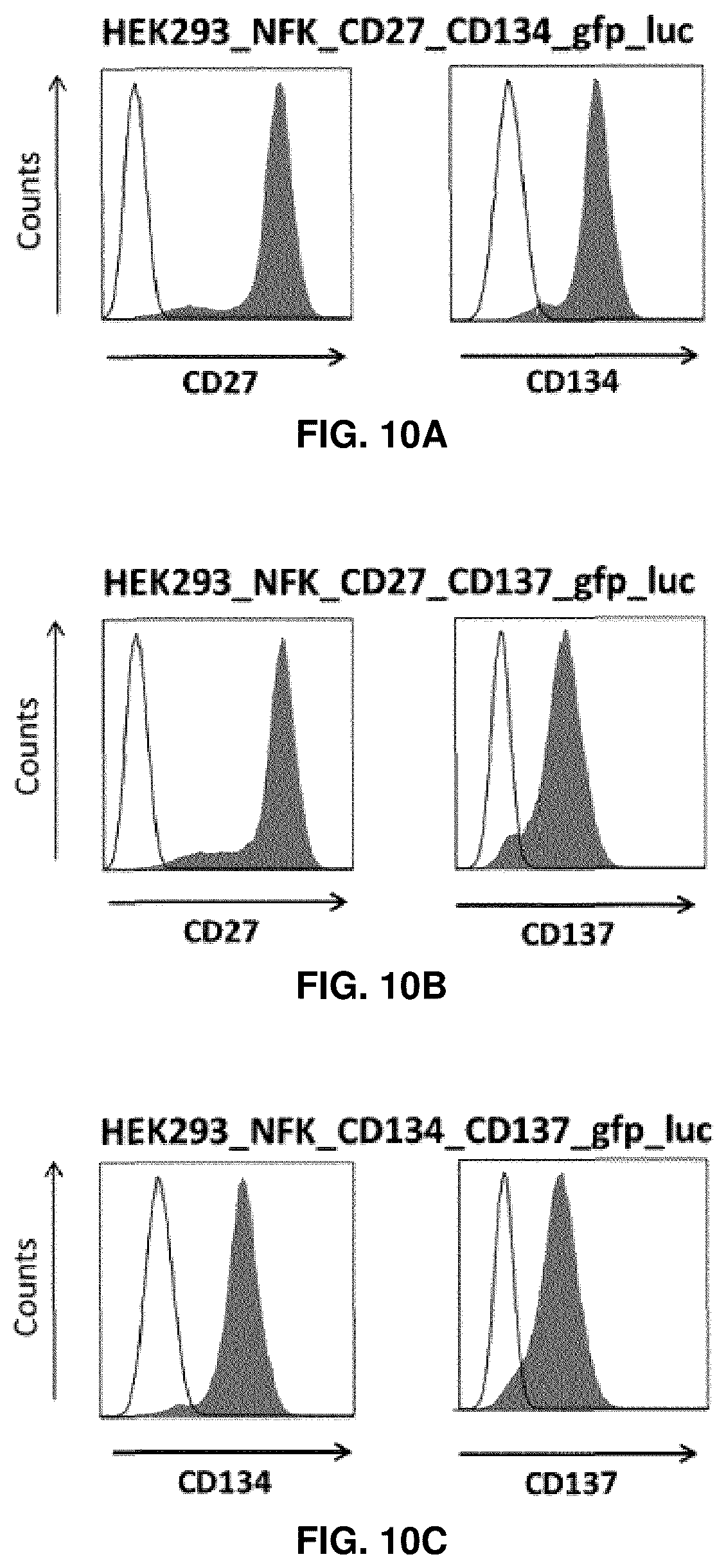 Patent US11814411 Figure 17 – Nucleic acid molecules encoding binding agents to CD40 and 4-1BB (CD137)