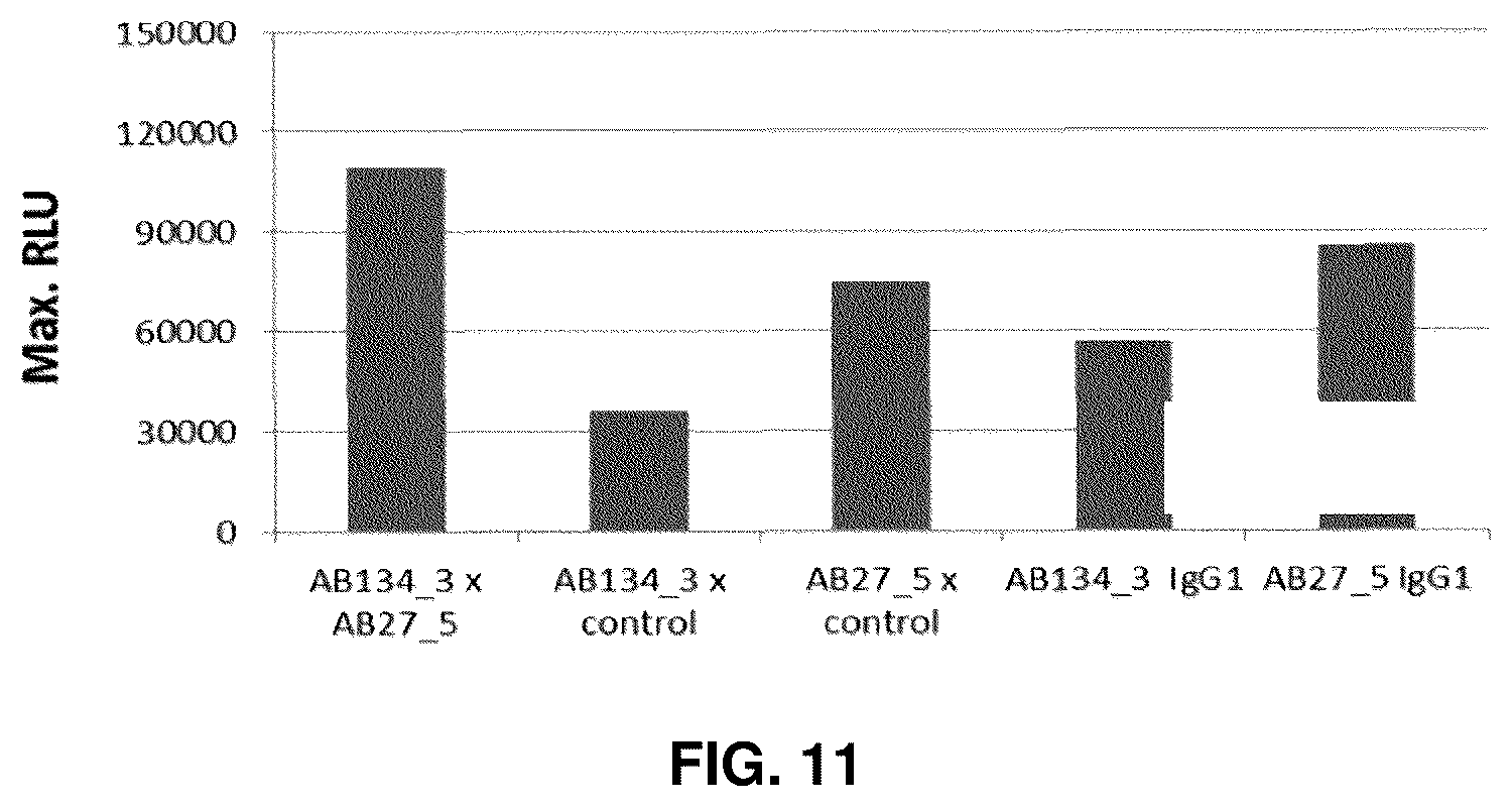 Patent US11814411 Figure 18 – Nucleic acid molecules encoding binding agents to CD40 and 4-1BB (CD137)