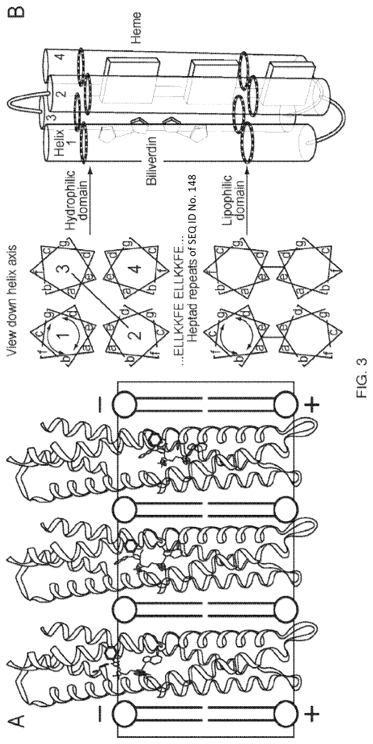 Patent US11814412 Figure 3 – Artificial proteins and compositions and methods thereof