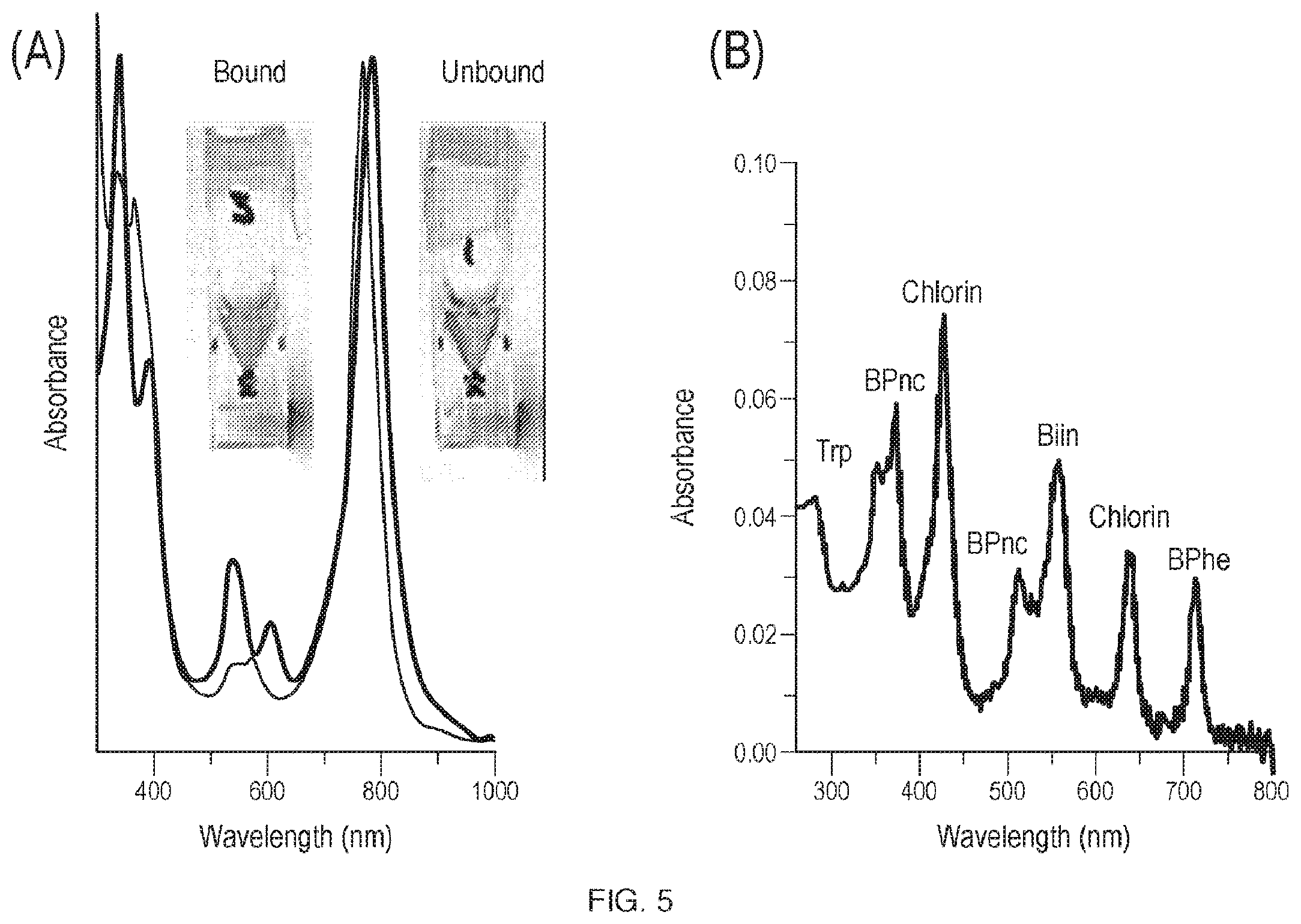 Patent US11814412 Figure 5 – Artificial proteins and compositions and methods thereof